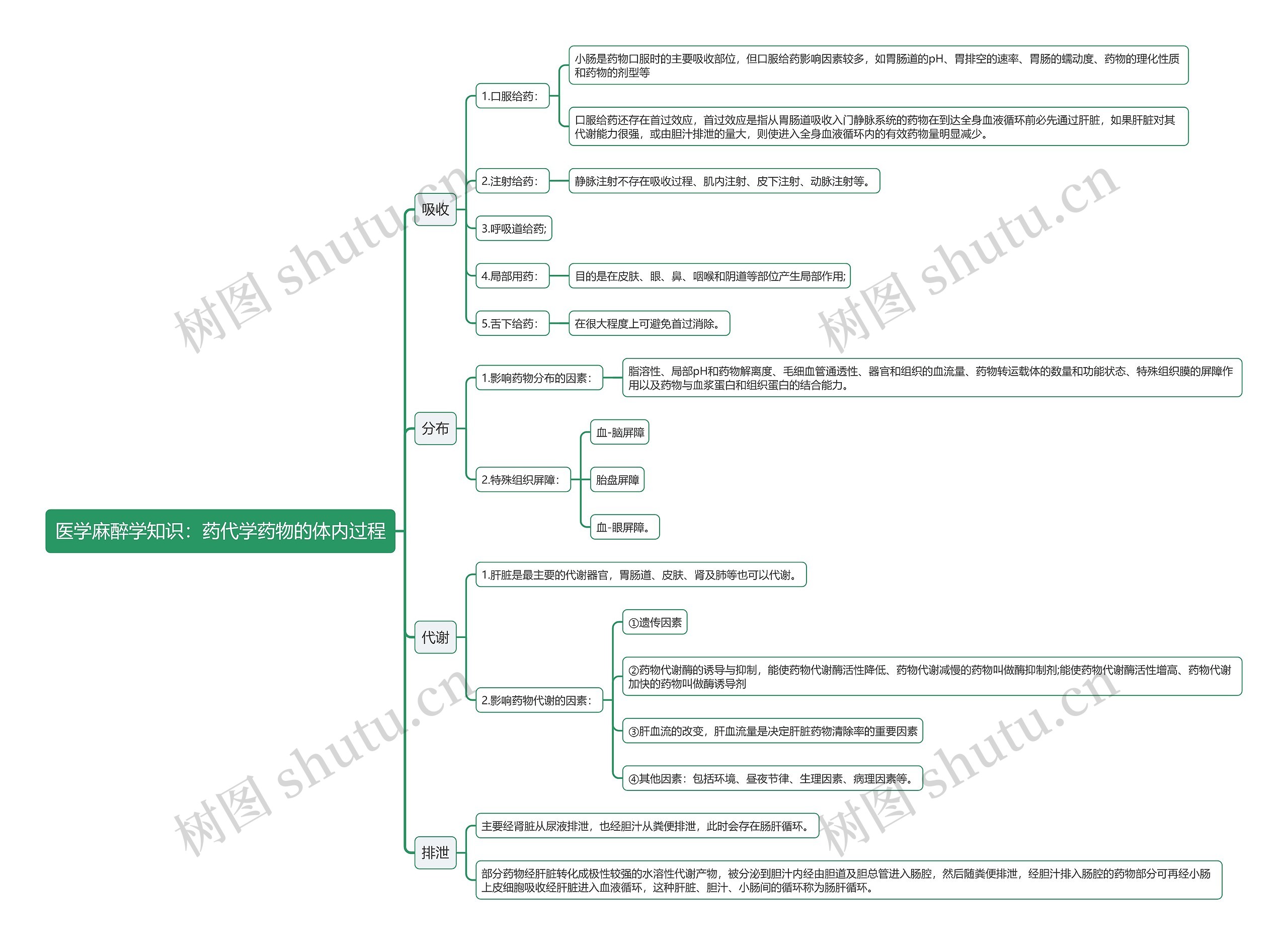 医学麻醉学知识：药代学药物的体内过程思维导图