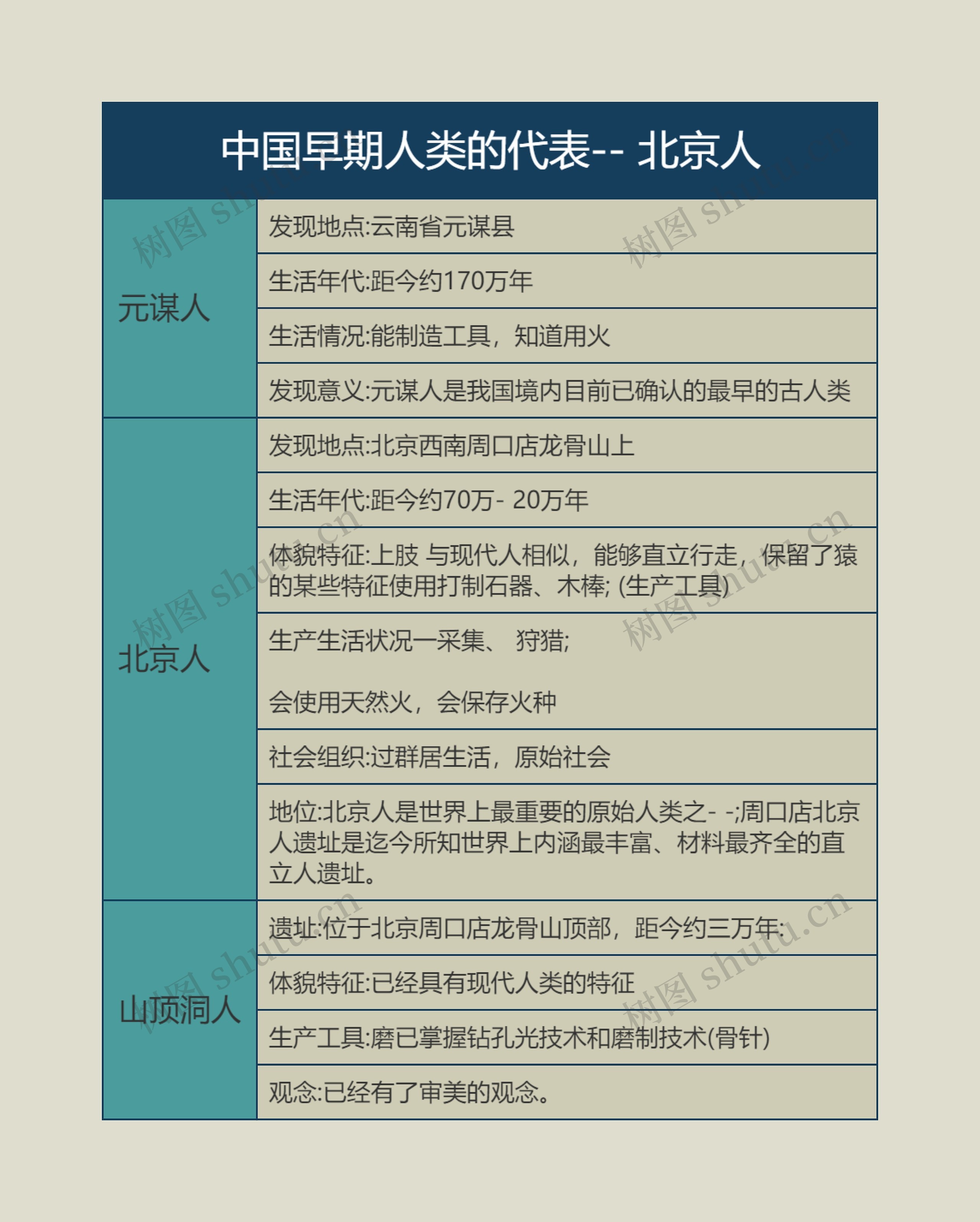 七年级上册历史中国早期人类的代表的思维导图
