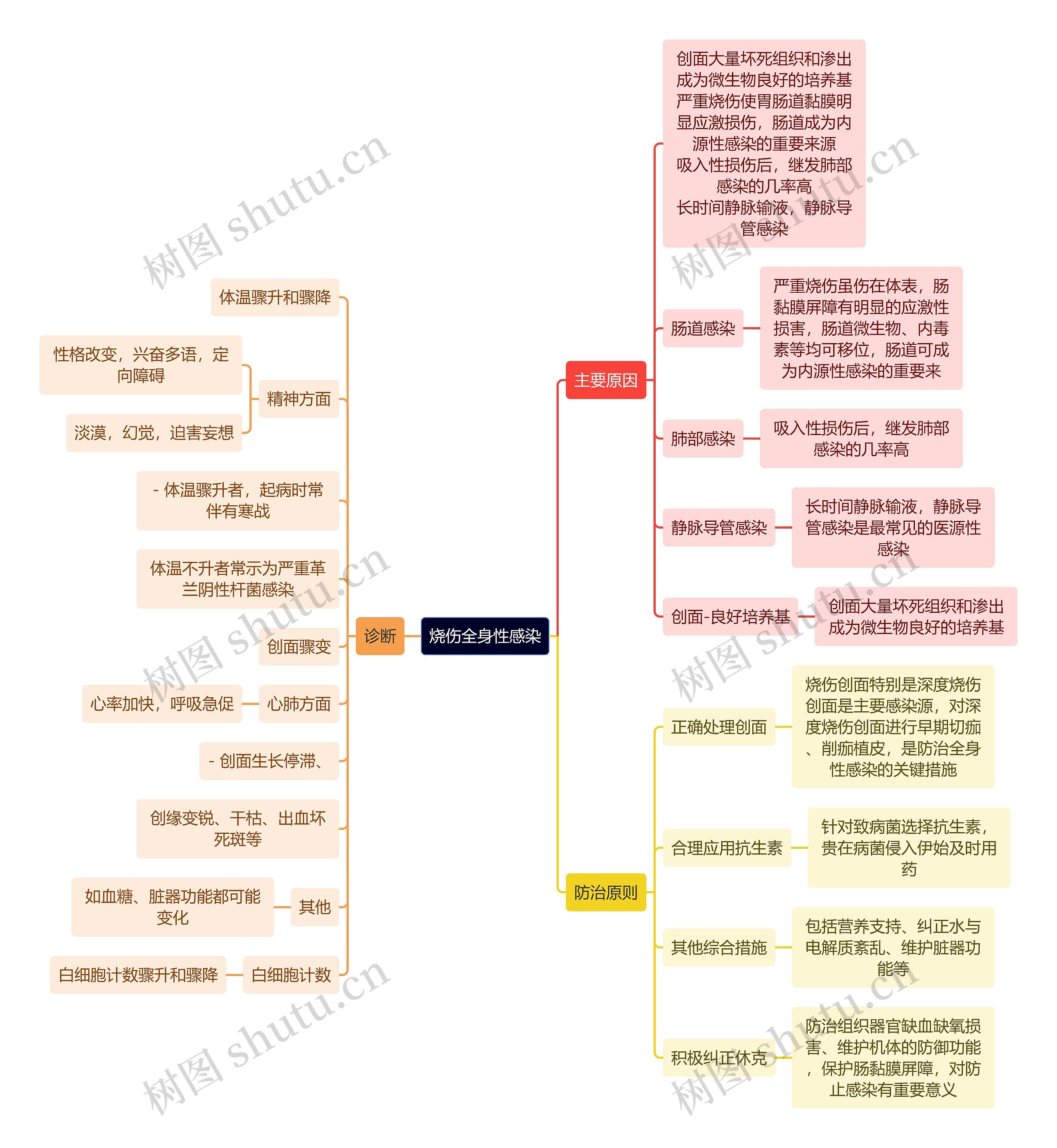 医学知识烧伤全身性感染思维导图