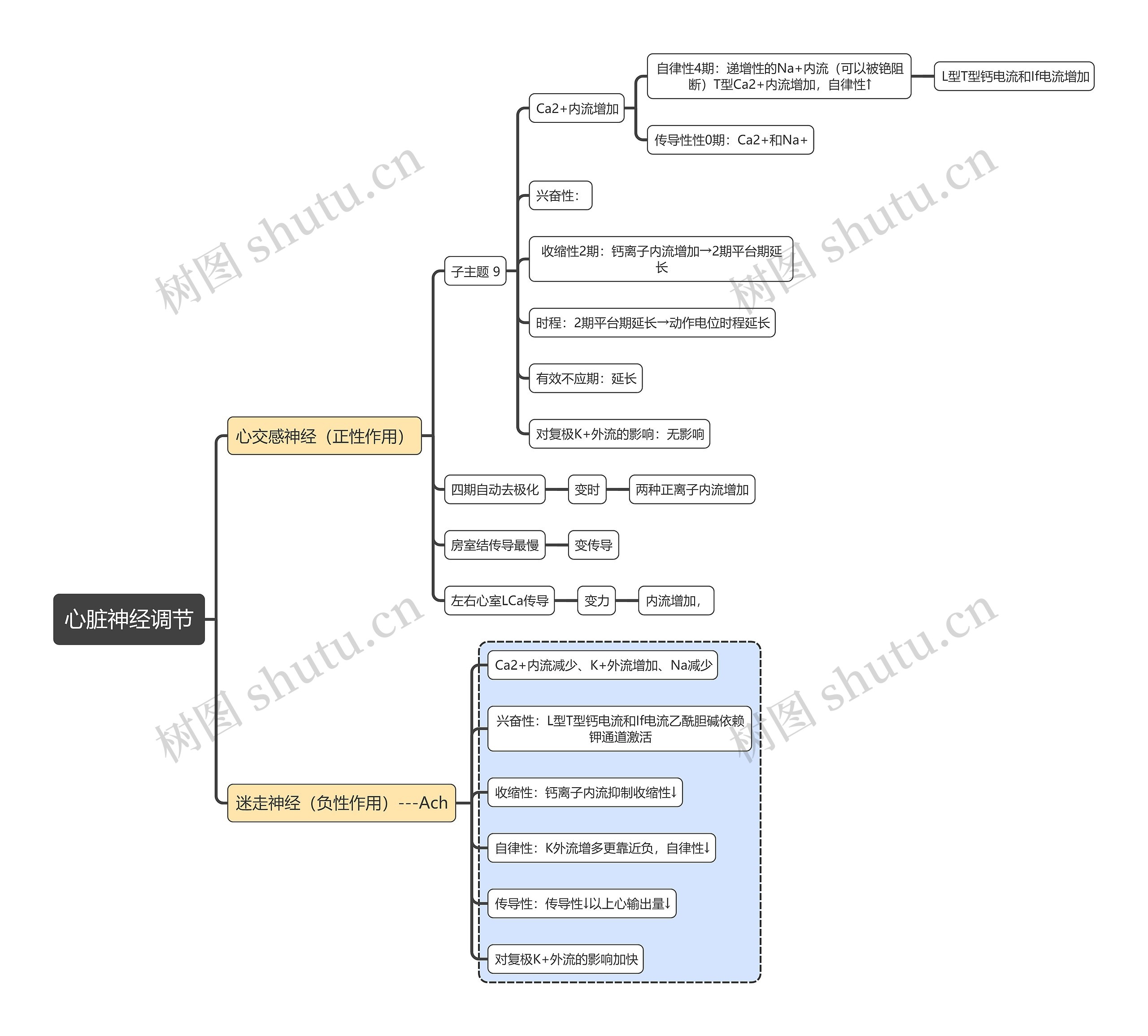医学知识心脏神经调节思维导图