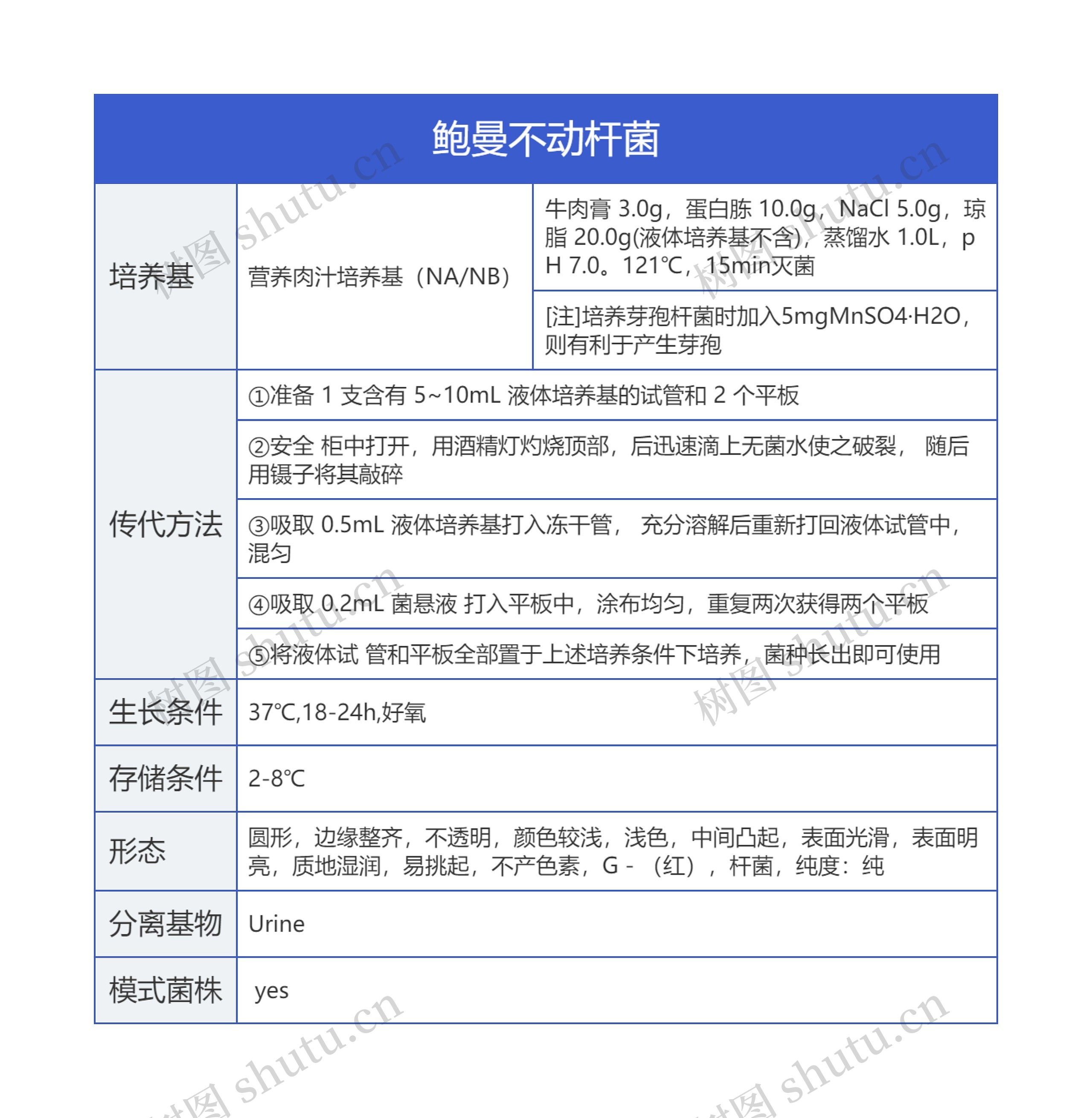 鲍曼不动杆菌思维导图