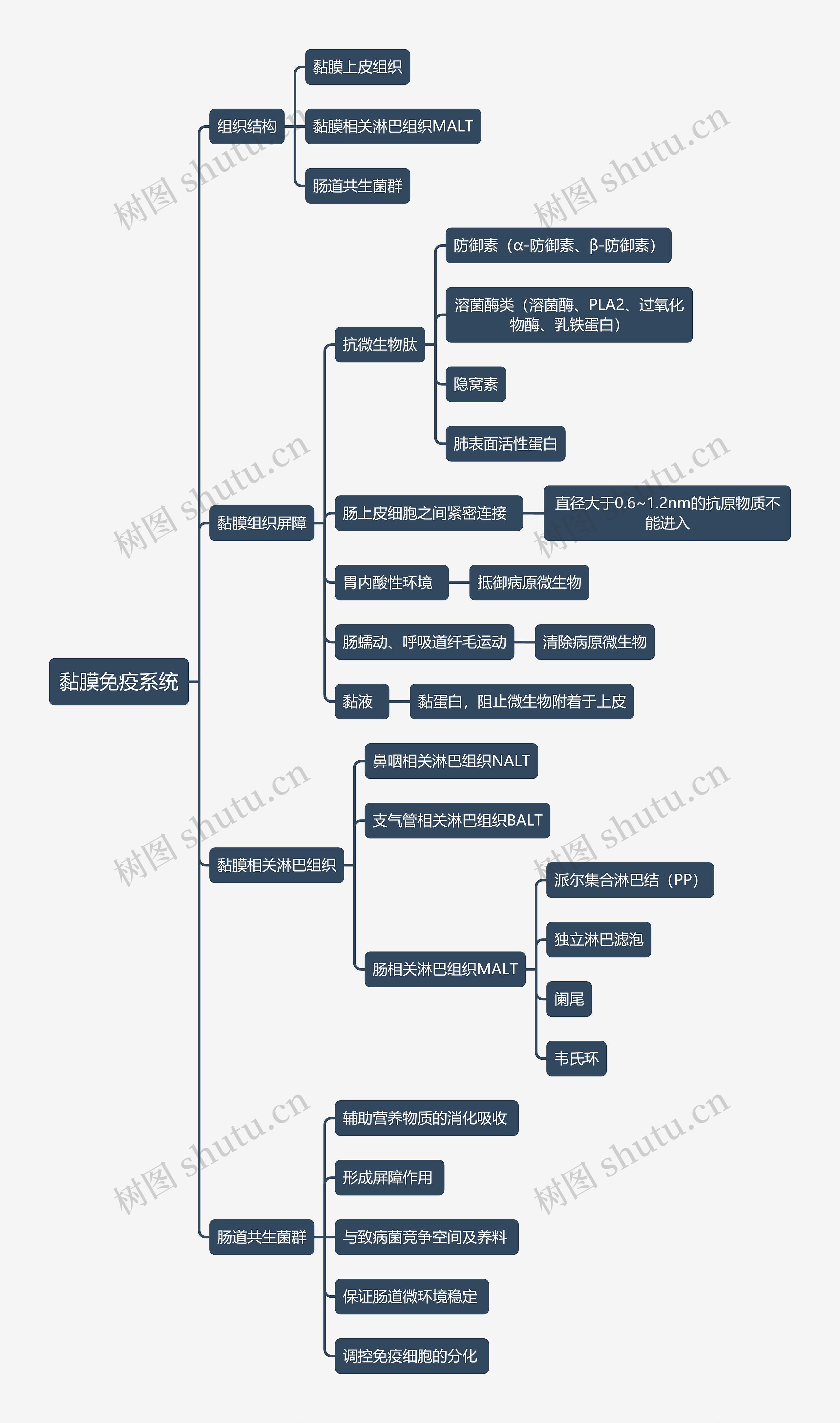 医学知识黏膜免疫系统思维导图