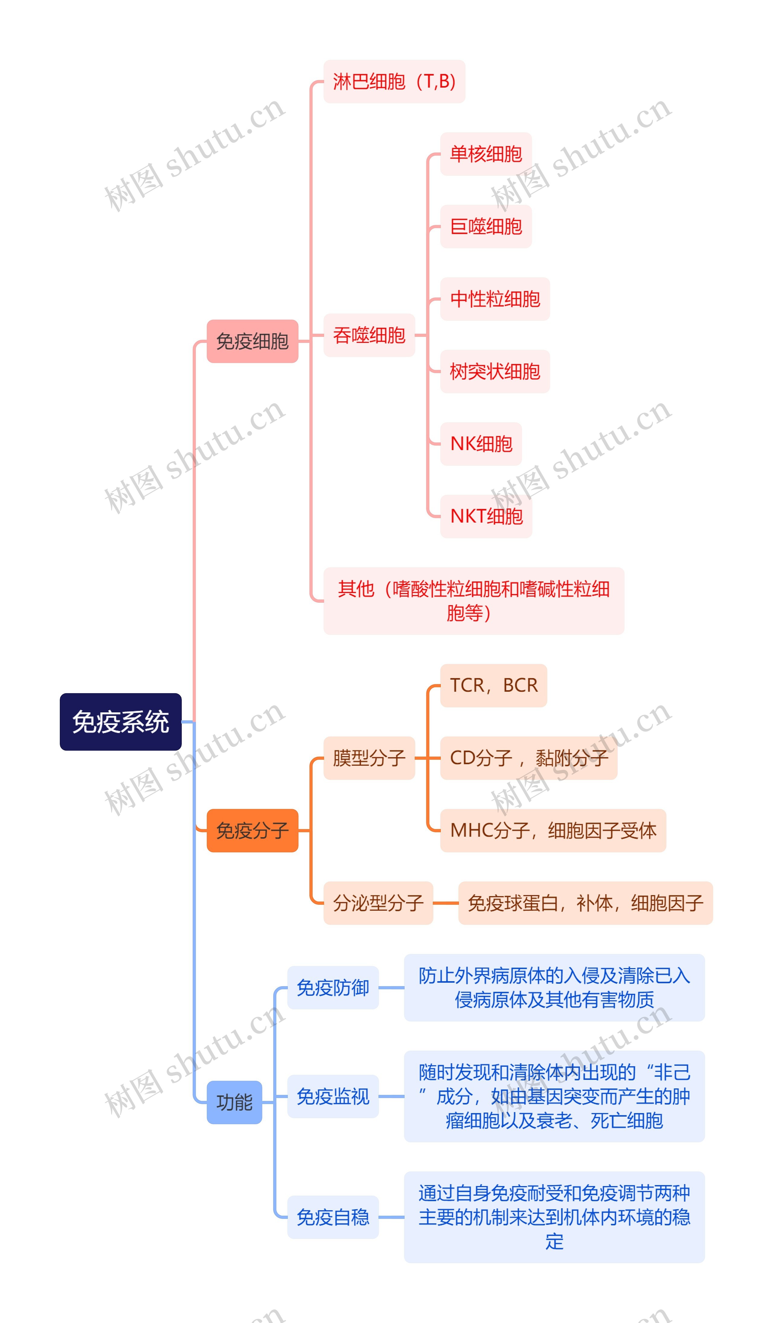 医学知识免疫系统思维导图