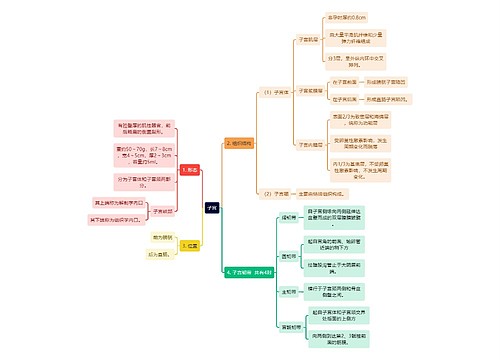 医学知识子宫思维导图