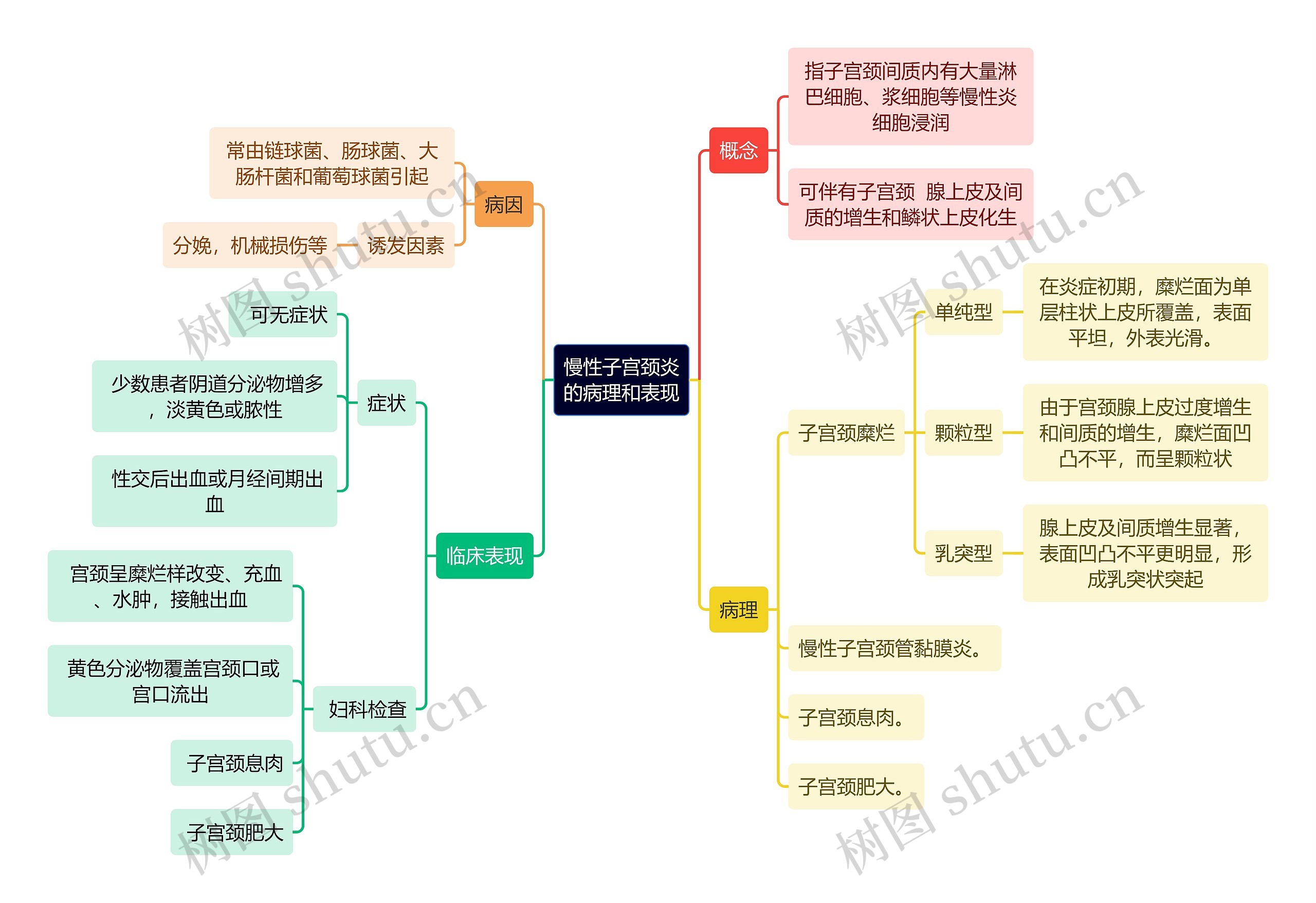 医学知识慢性子宫颈炎的病理和表现思维导图