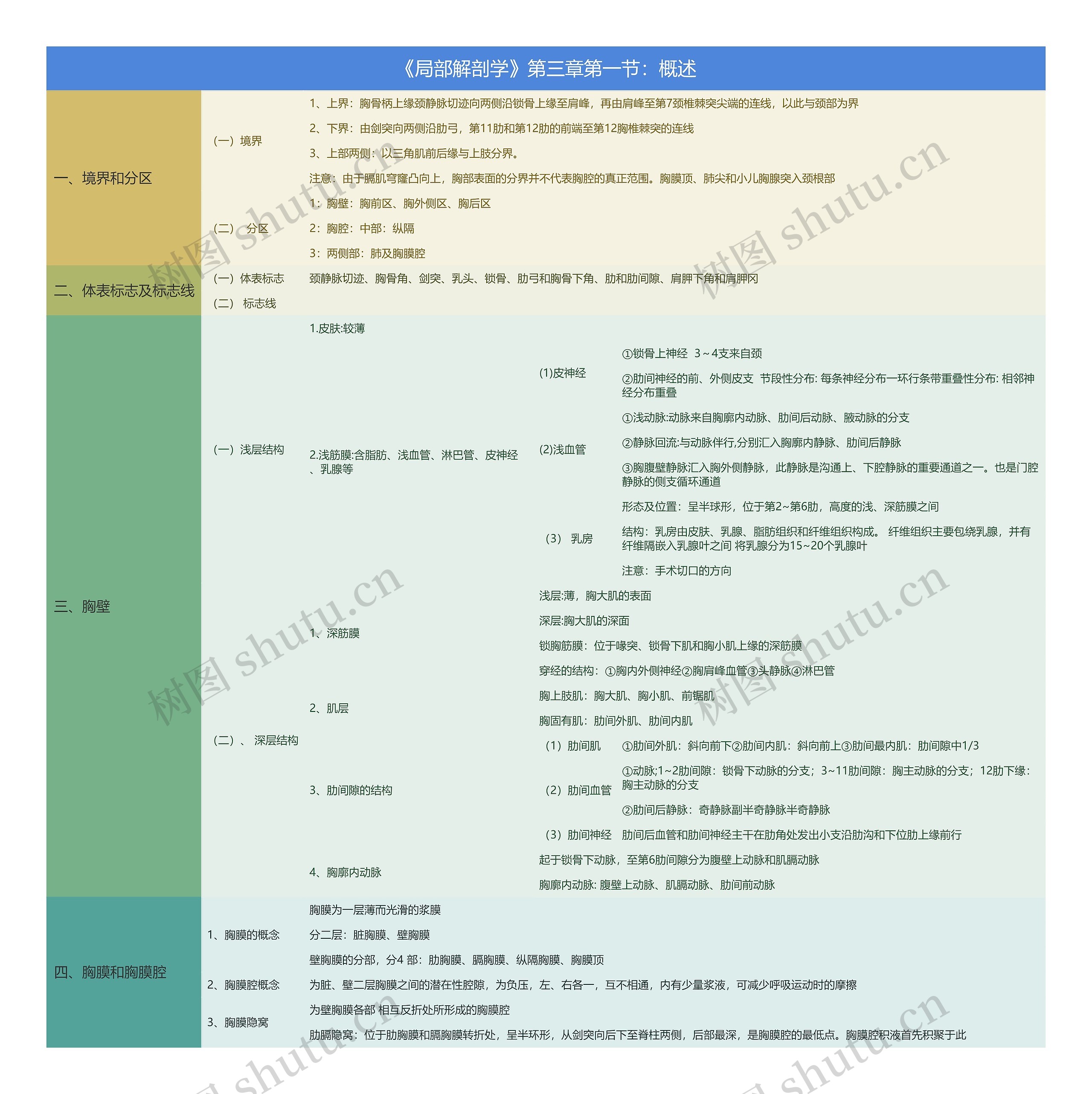 《局部解剖学》第三章第一节：概述思维导图