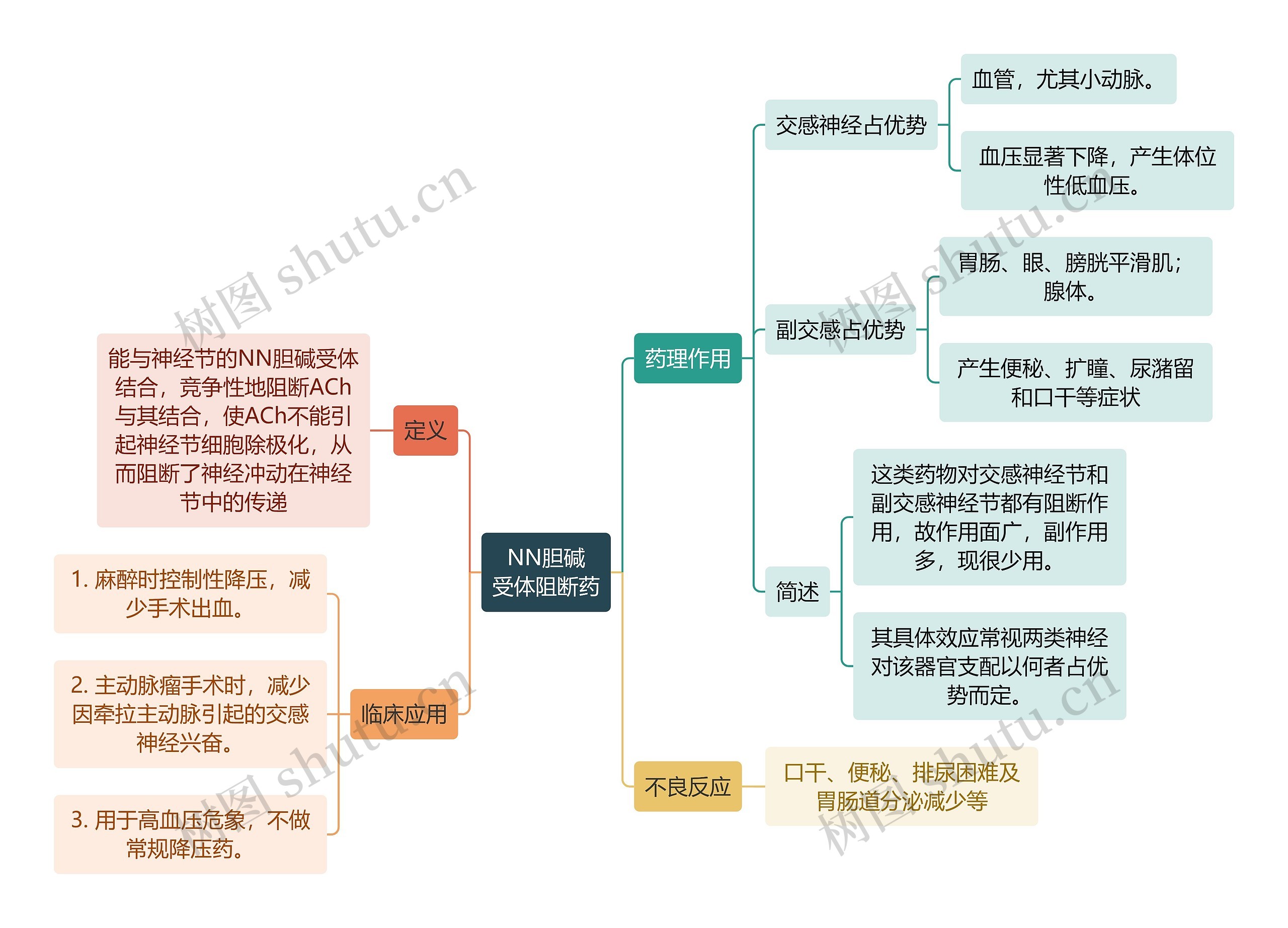 医学知识NN胆碱受体阻断药思维导图