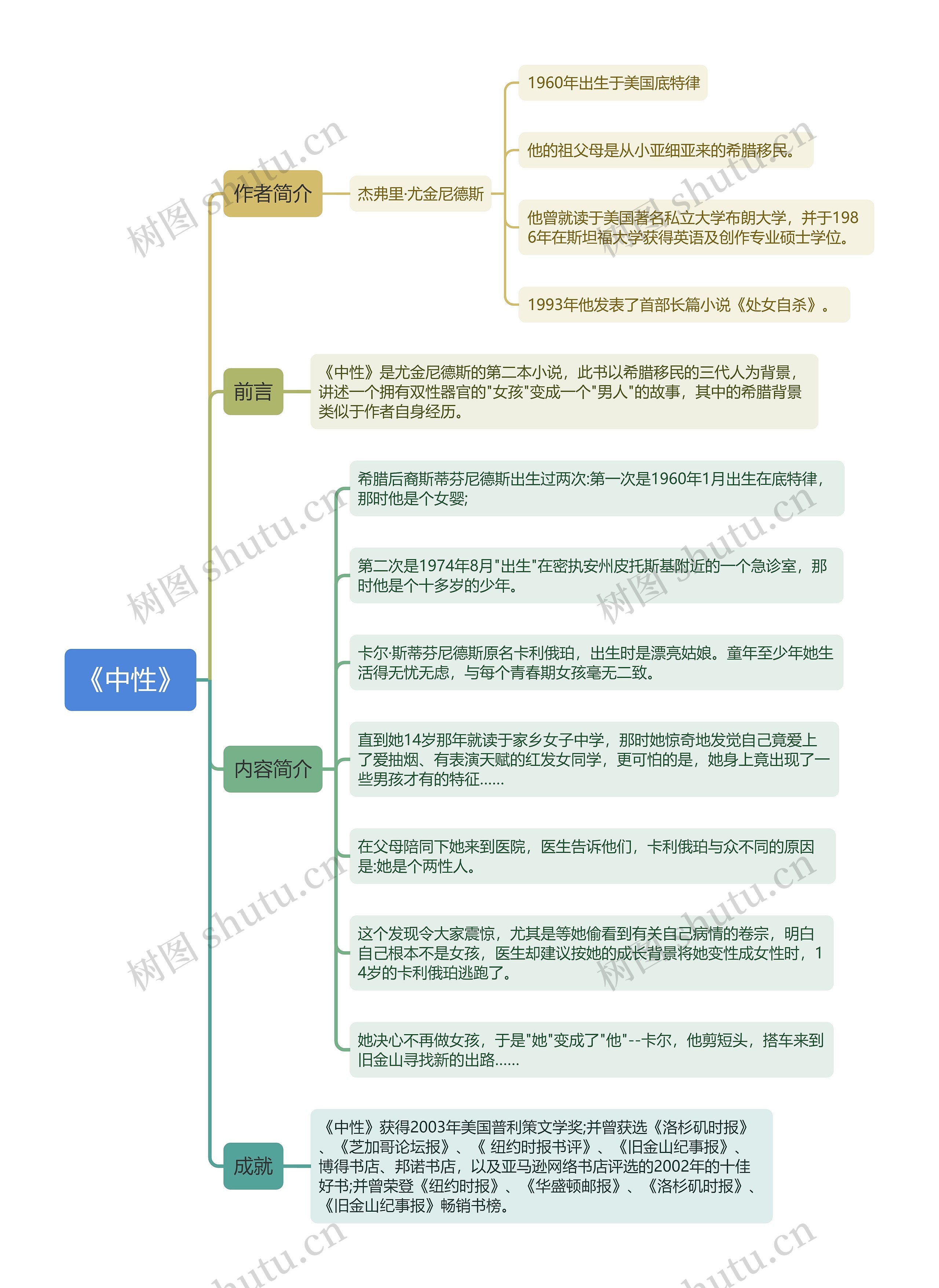 《中性》思维导图