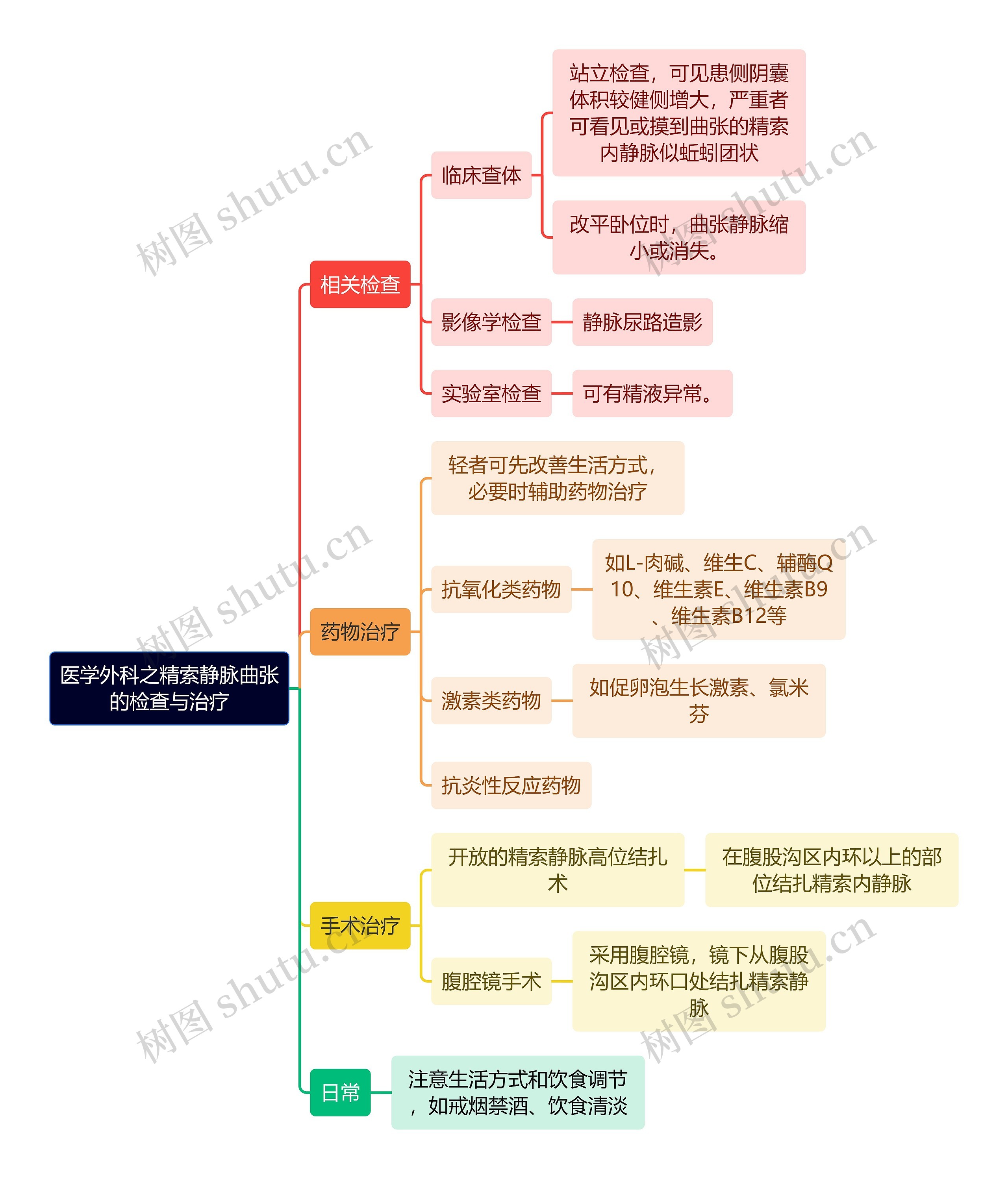 医学外科之精索静脉曲张
的检查与治疗思维导图