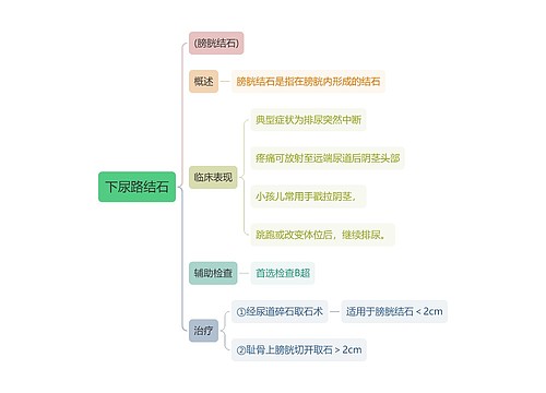 内科知识下尿路结石思维导图