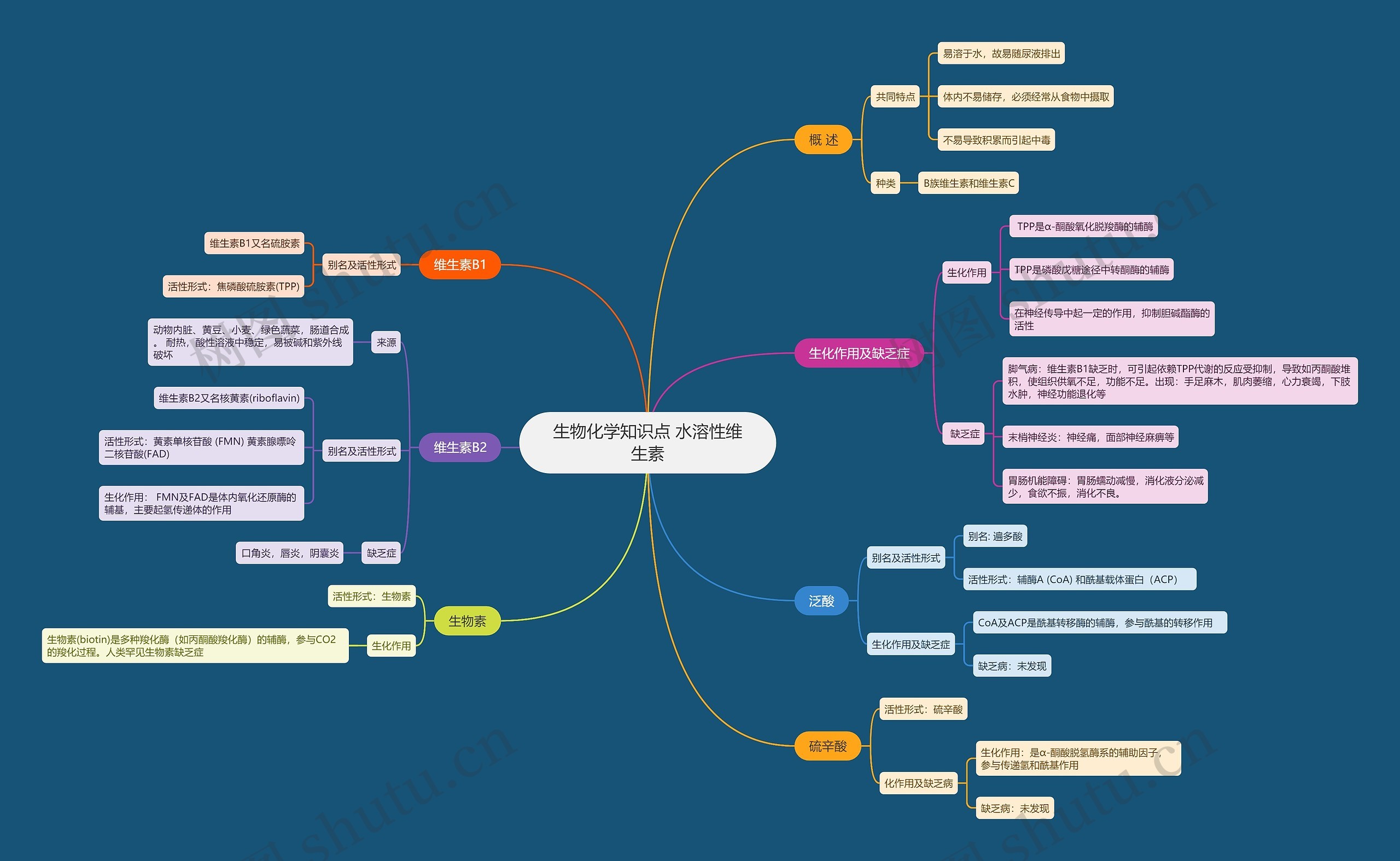 生物化学知识点 水溶性维生素思维导图