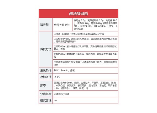 酿酒酵母菌