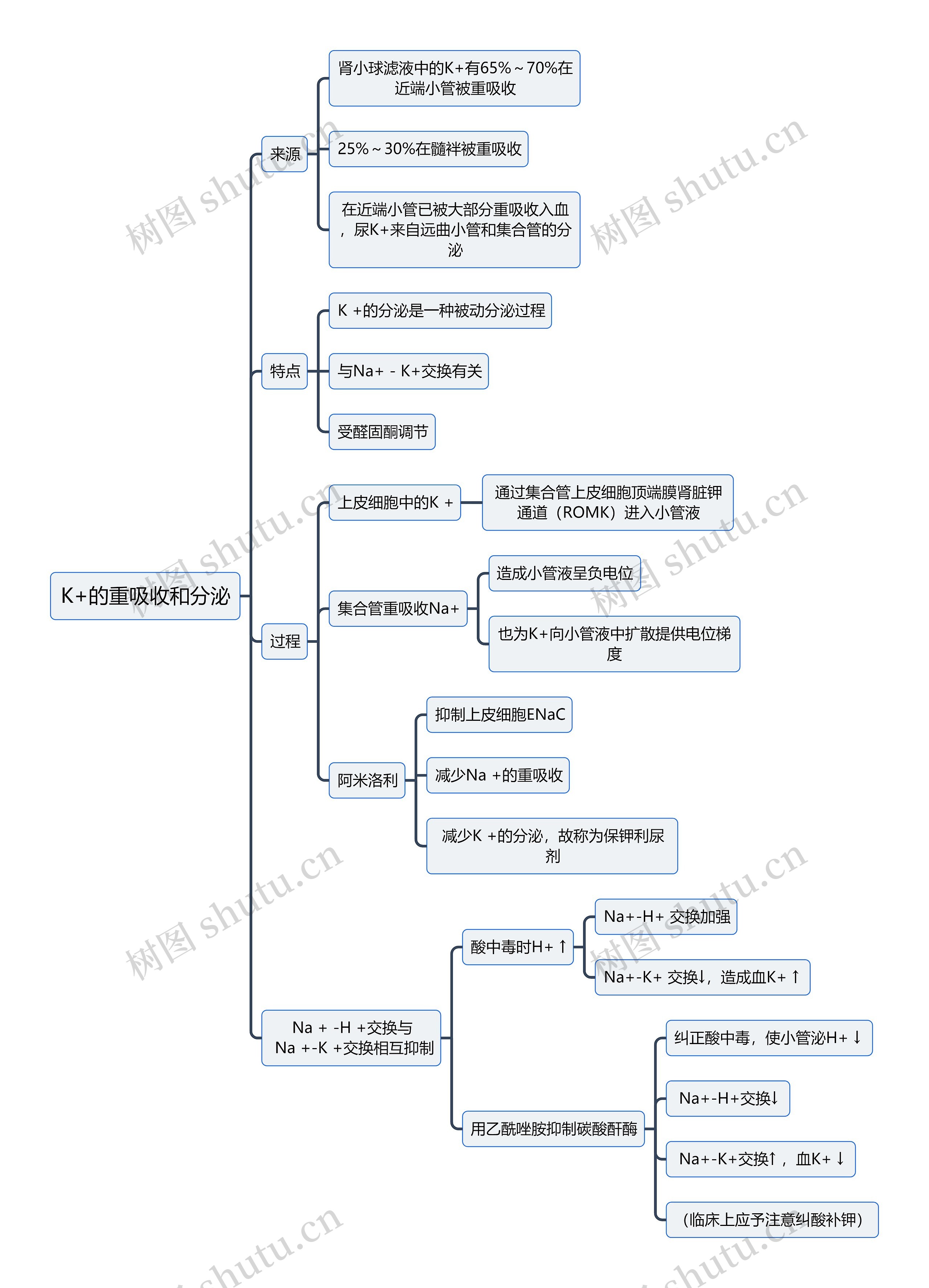 医学知识K+的重吸收和分泌思维导图