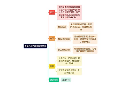 医学外科之精索静脉曲张