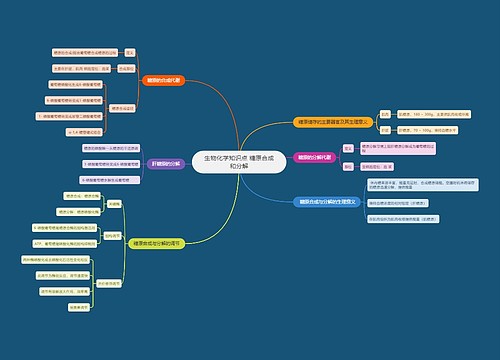 生物化学知识点 糖原合成和分解
