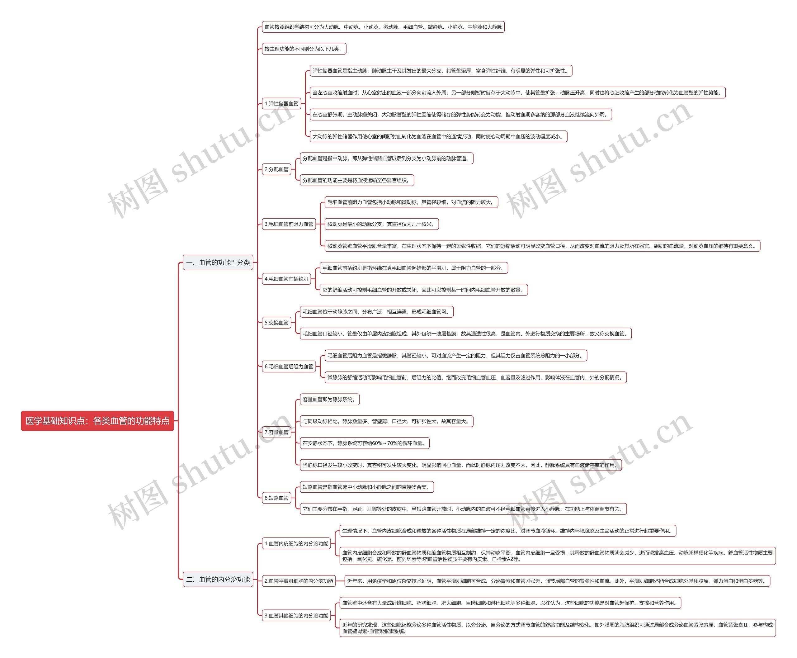 医学基础知识点：各类血管的功能特点思维导图