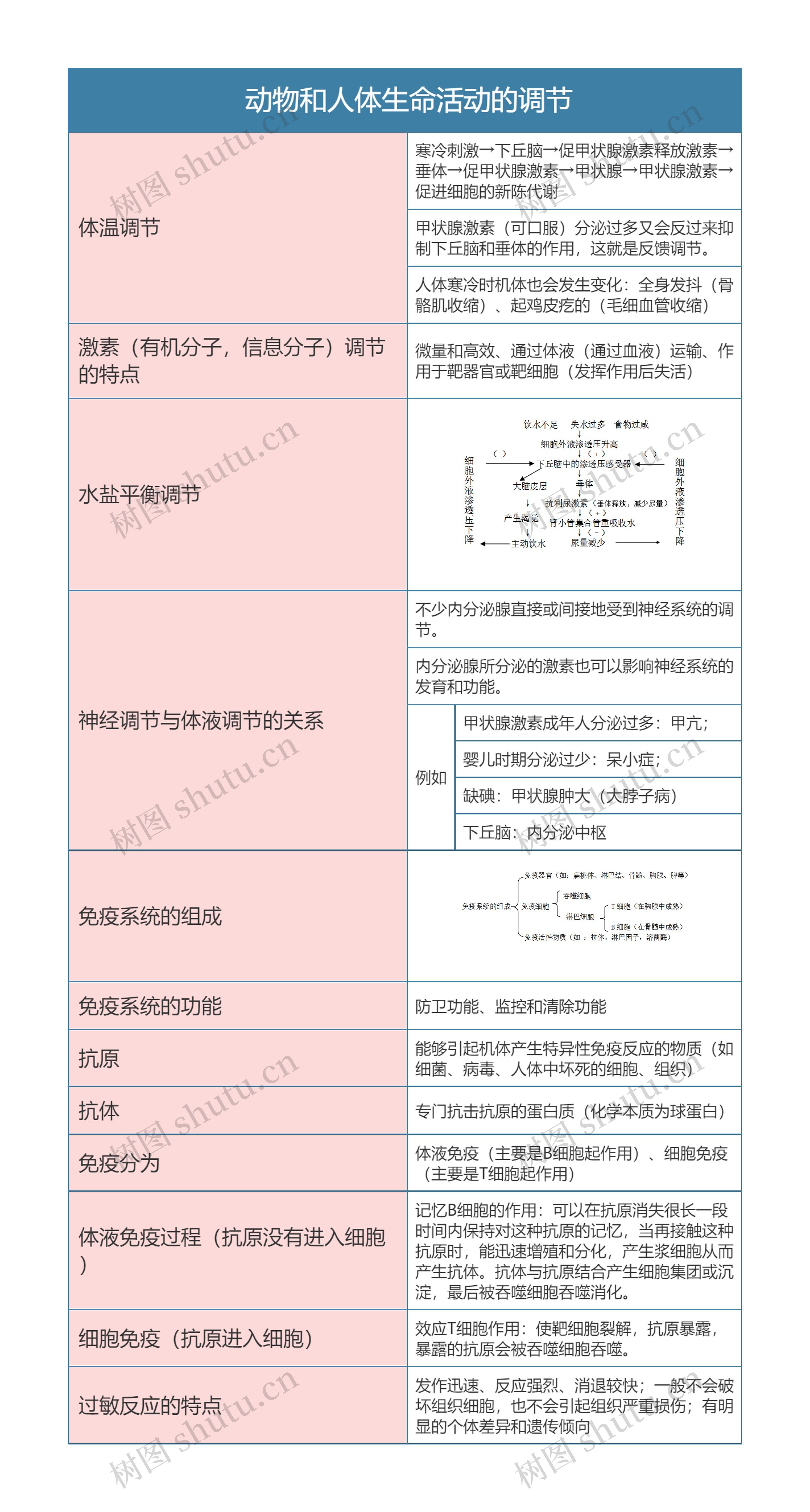  高中生物必修三动物和人体生命活动的调节思维导图