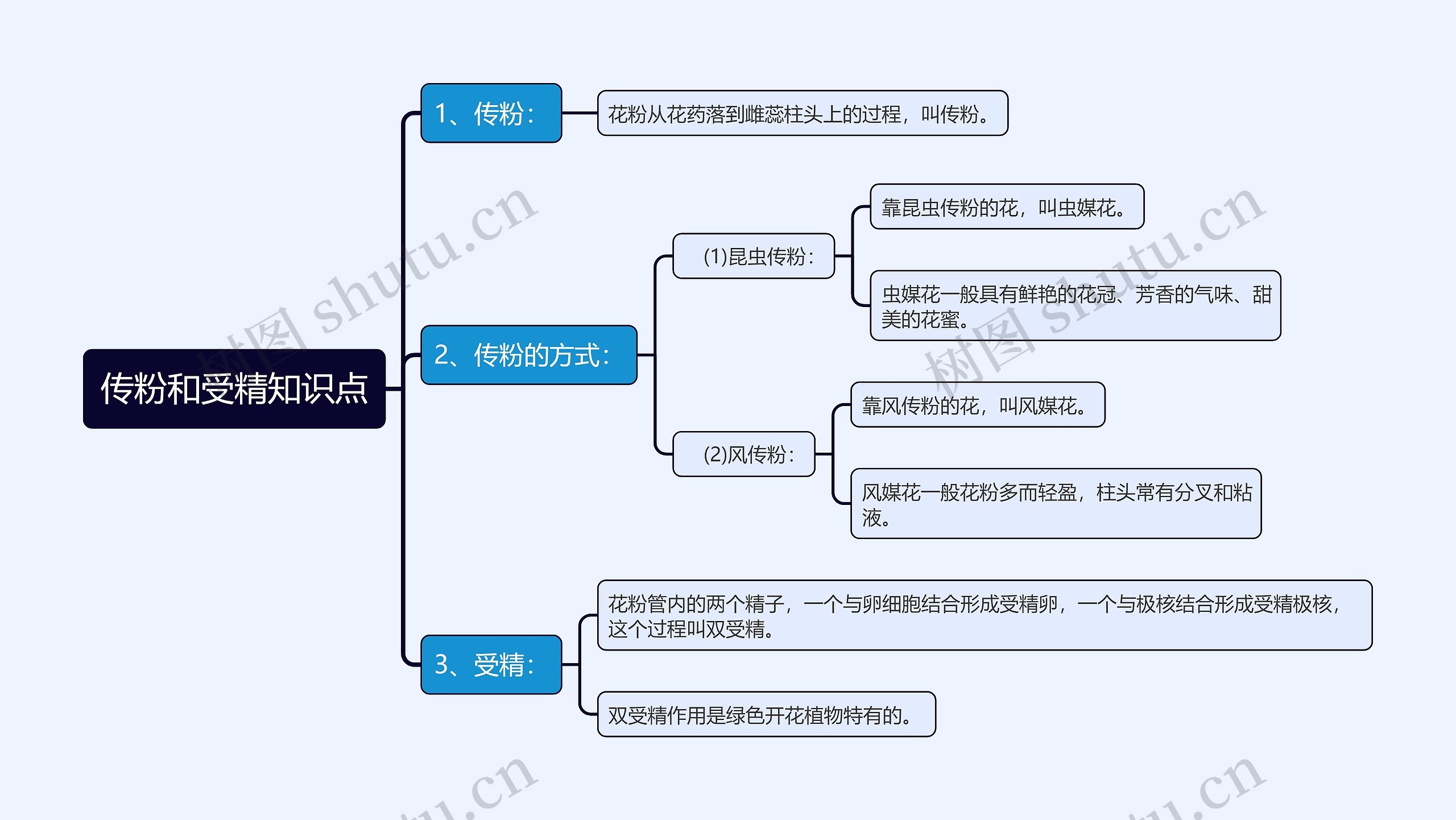 传粉和受精知识点思维导图