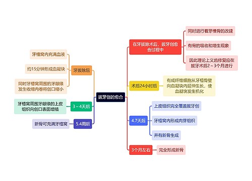 医学知识拔牙创的愈合思维导图