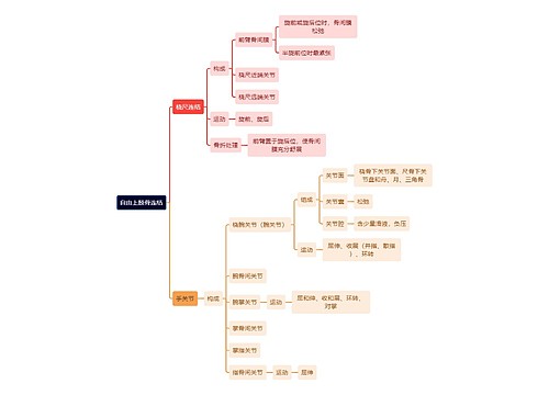 解剖学知识自由上肢骨连结思维导图