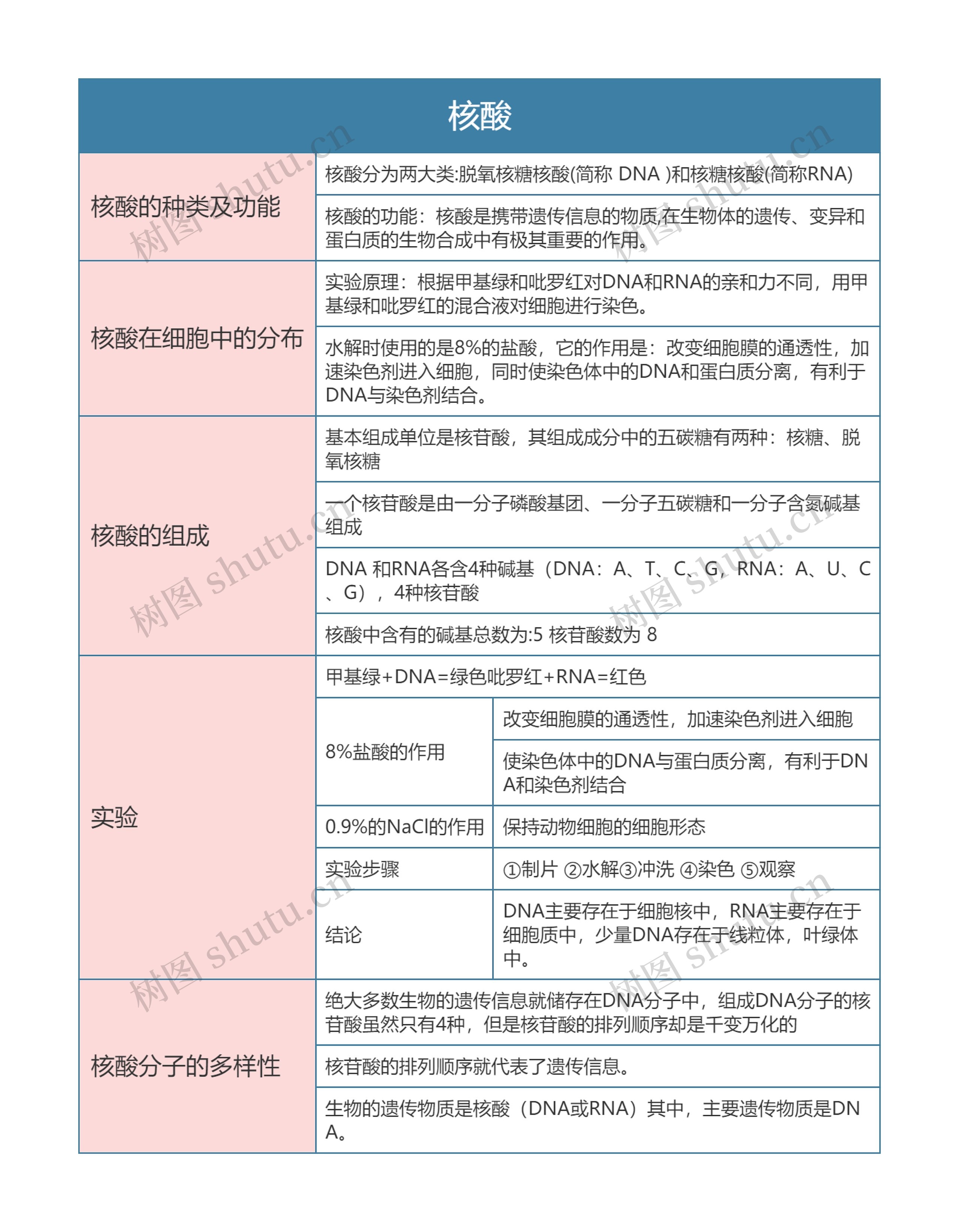 高一生物必修一核酸思维导图