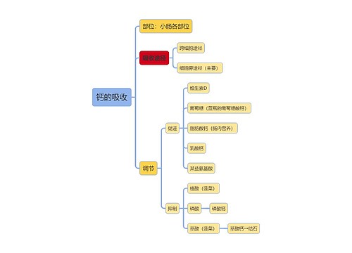 医学知识钙的吸收思维导图