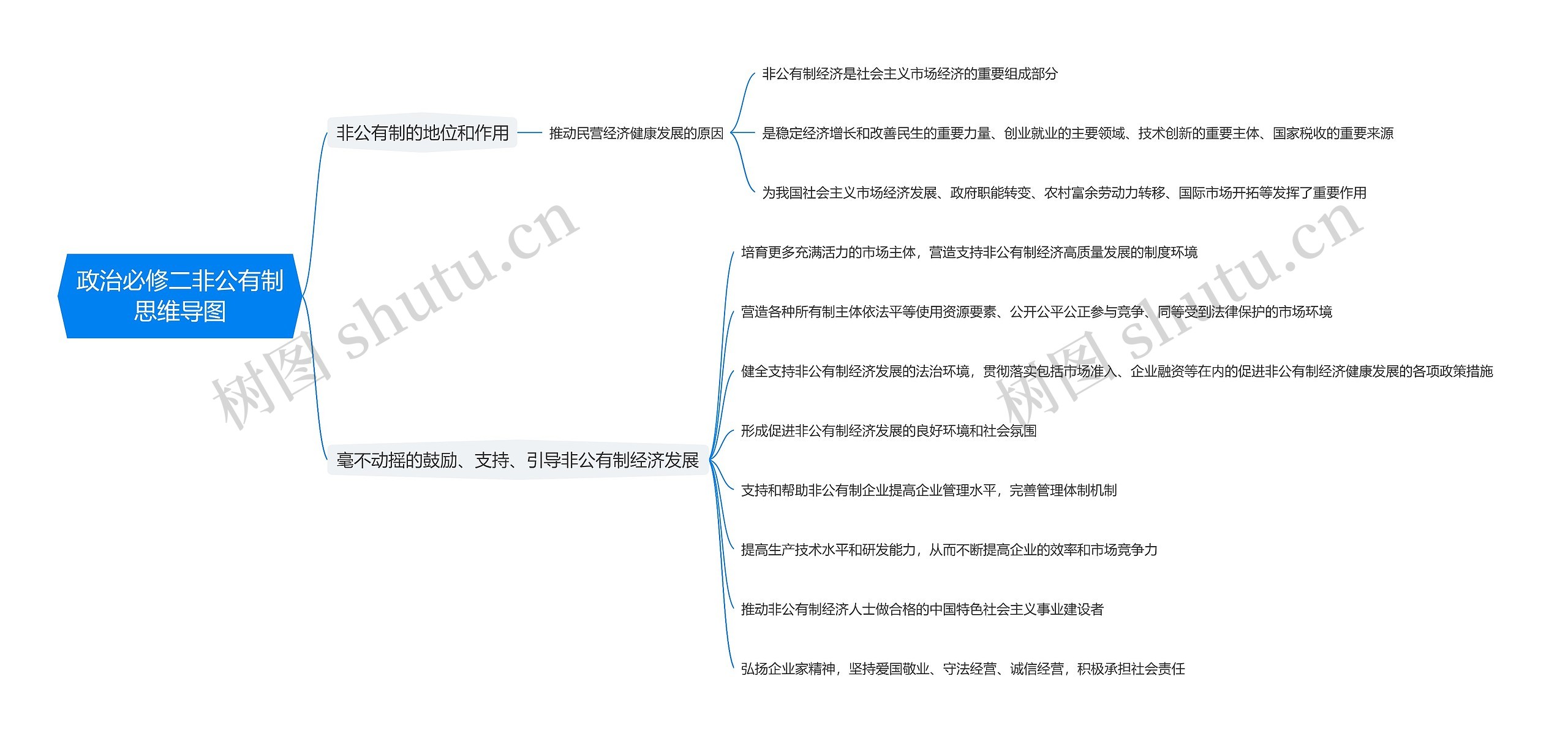 政治必修二非公有制思维导图