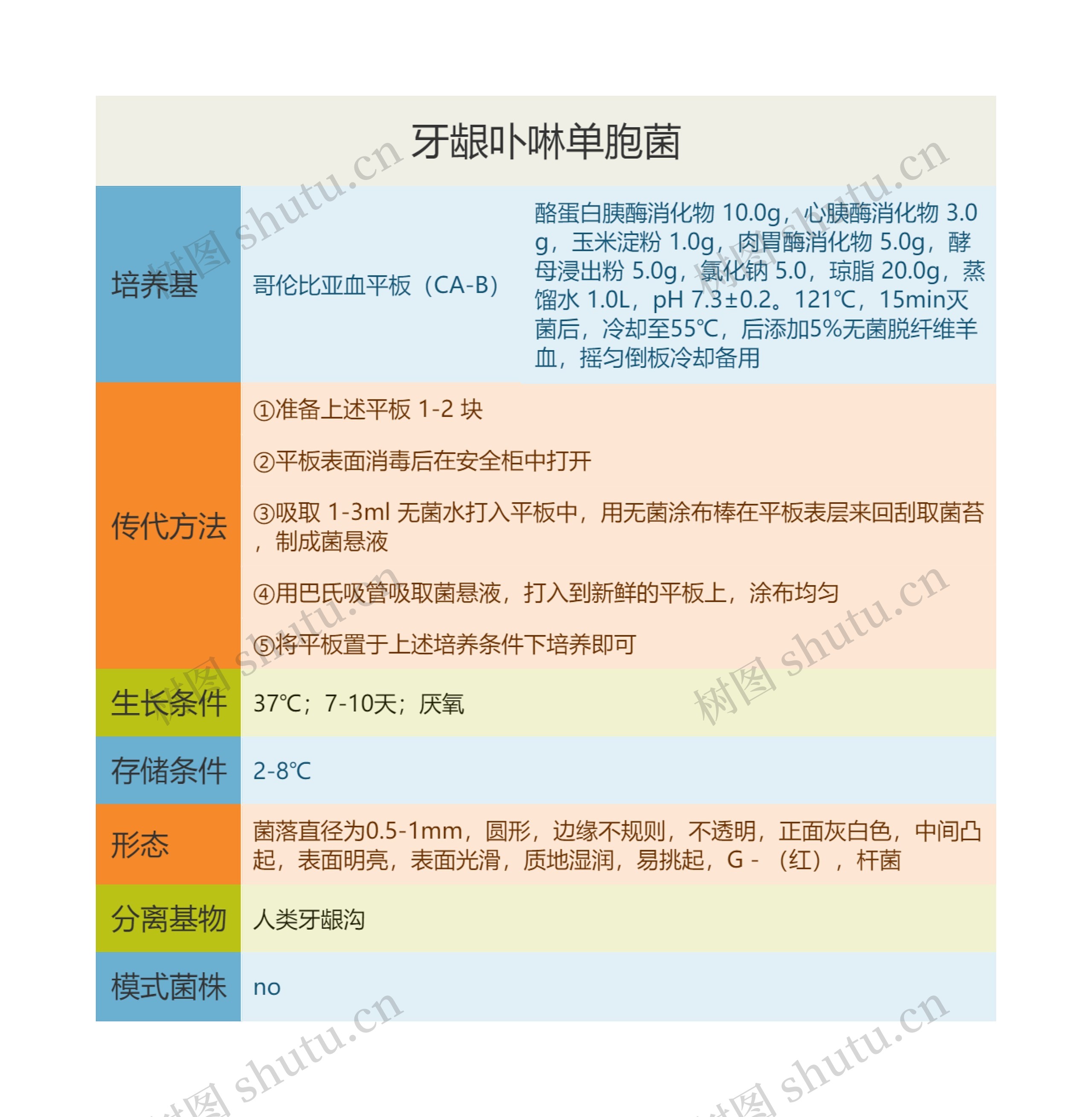 牙龈卟啉单胞菌