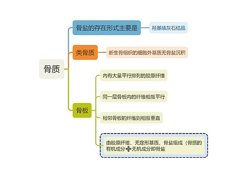 医学知识骨质思维导图