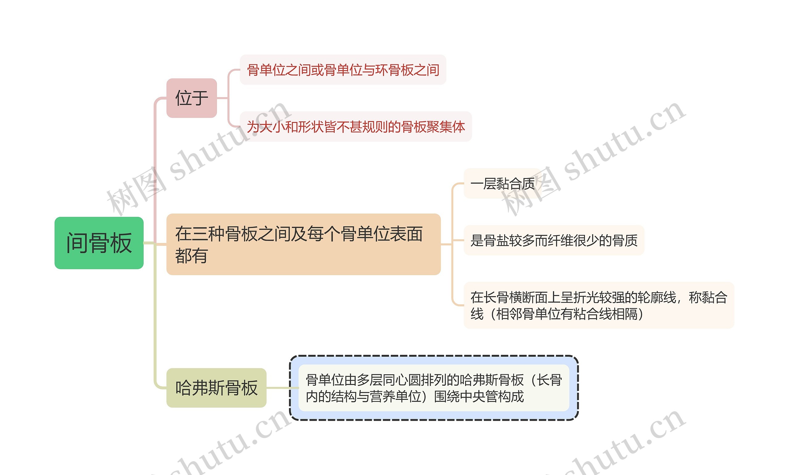 医学知识间骨板思维导图