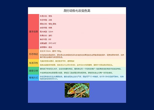 爬行动物七彩变色龙