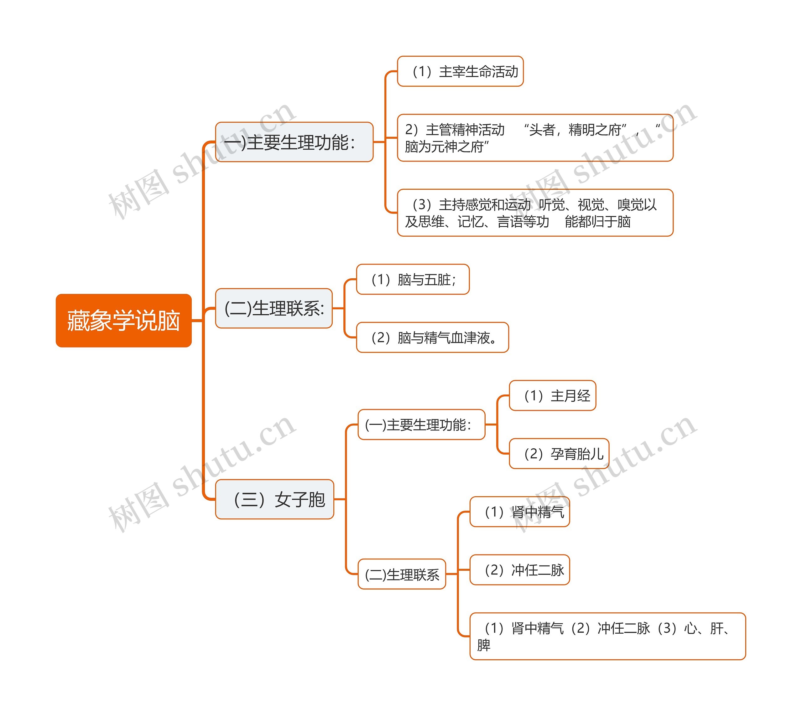 ﻿藏象学说脑思维导图