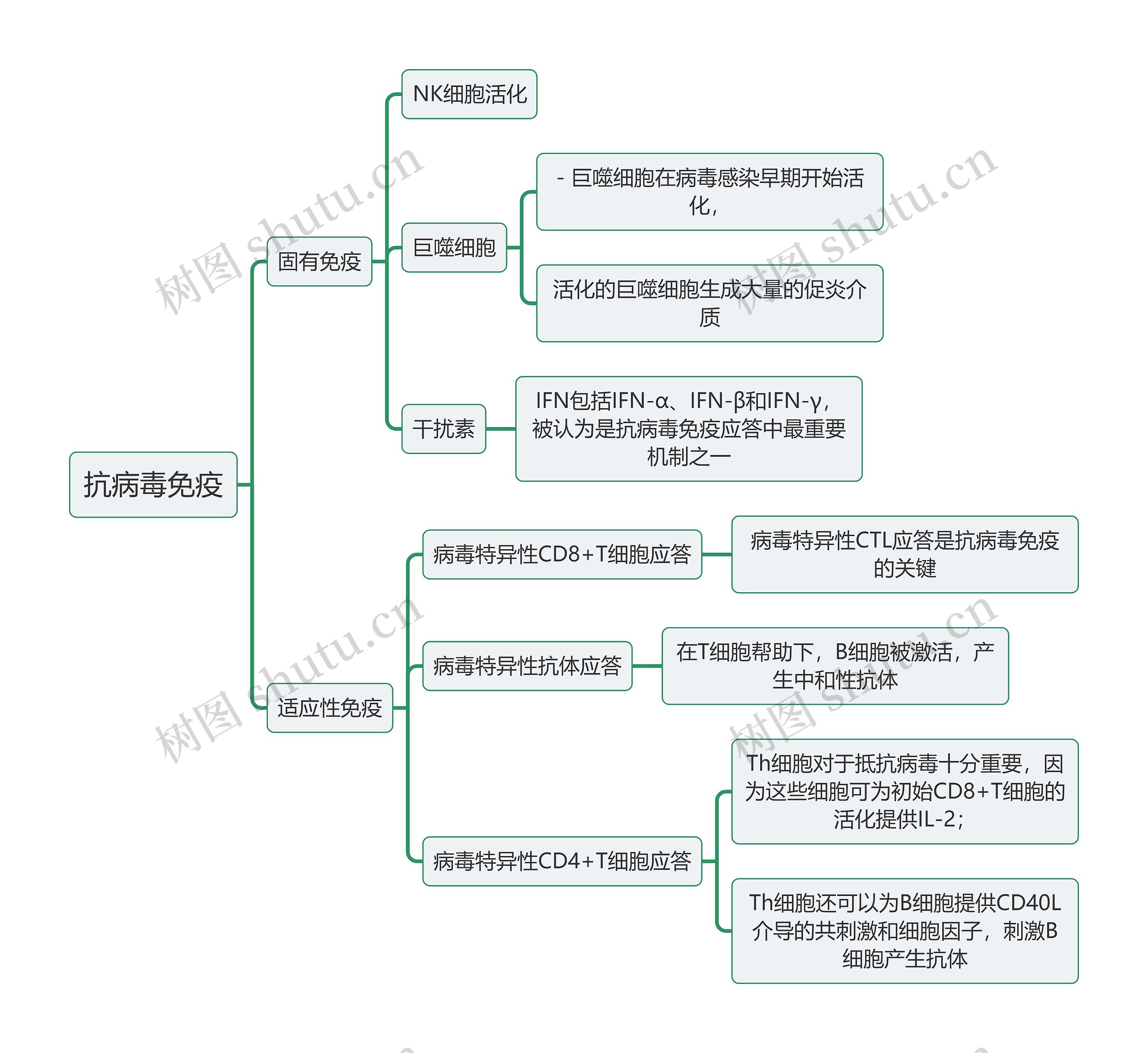 医学知识抗病毒免疫思维导图