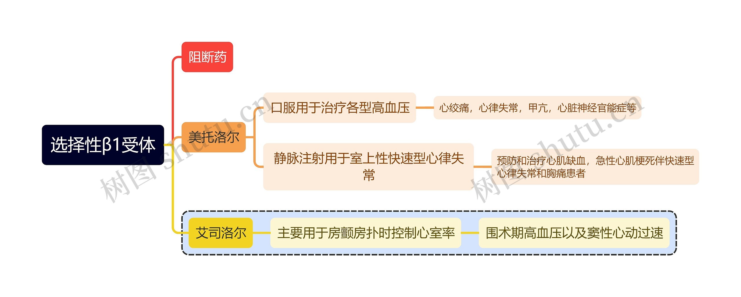 医学选择性β1受体思维导图高清图 医学选择性β1受体思维导图