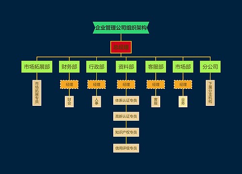 企业管理公司组织架构