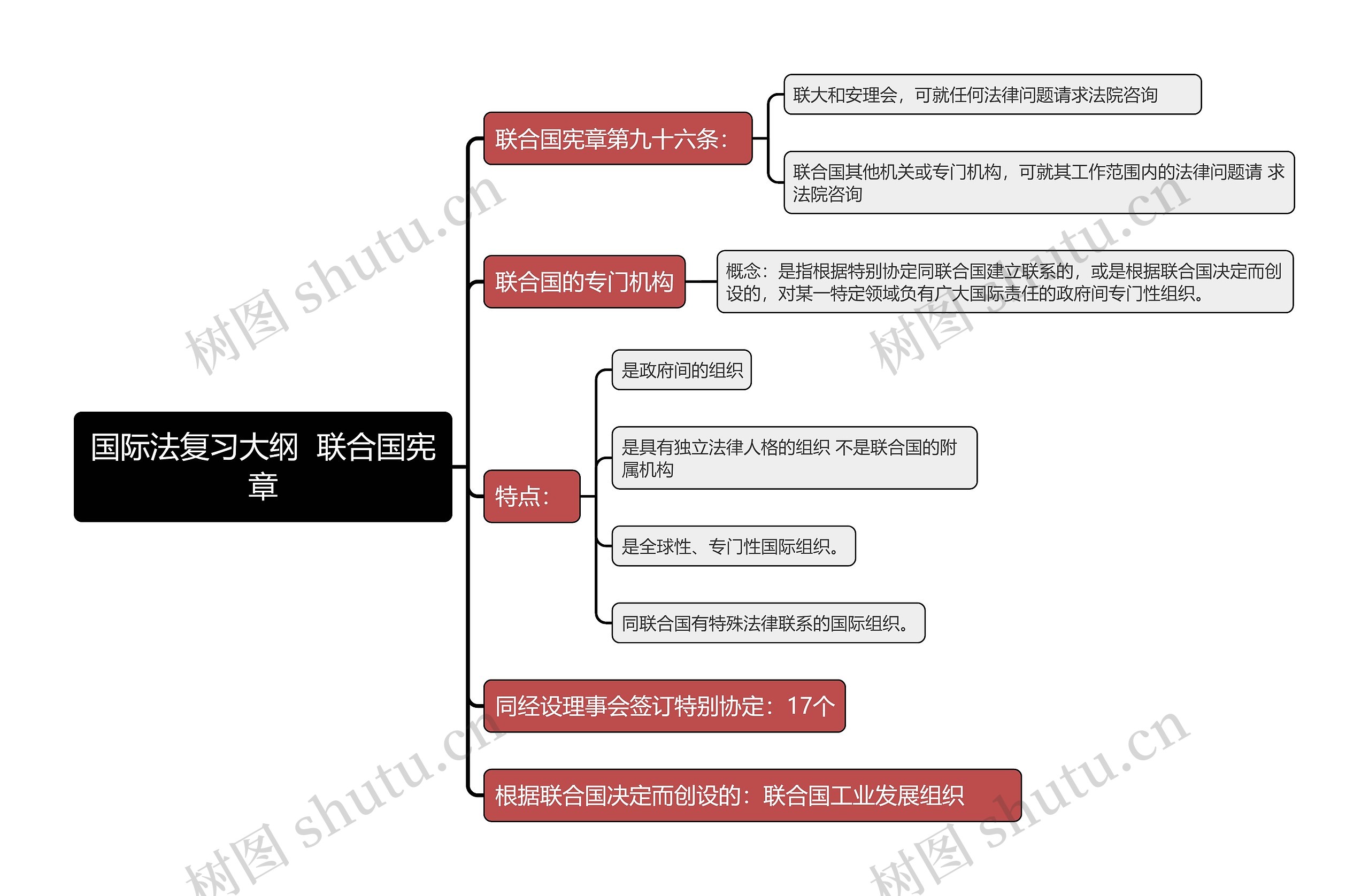国际法复习大纲  联合国宪章