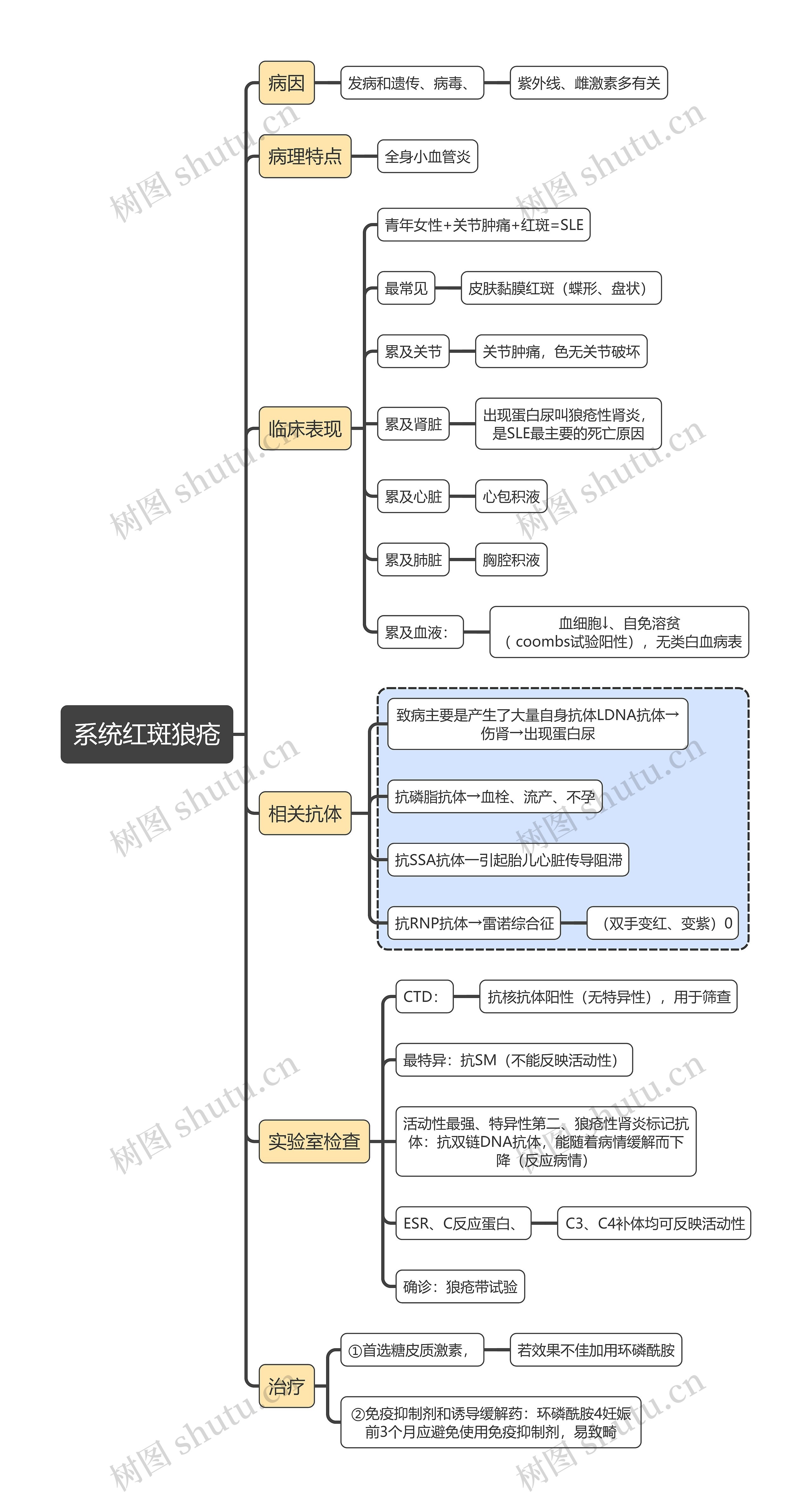 医学知识系统红斑狼疮思维导图