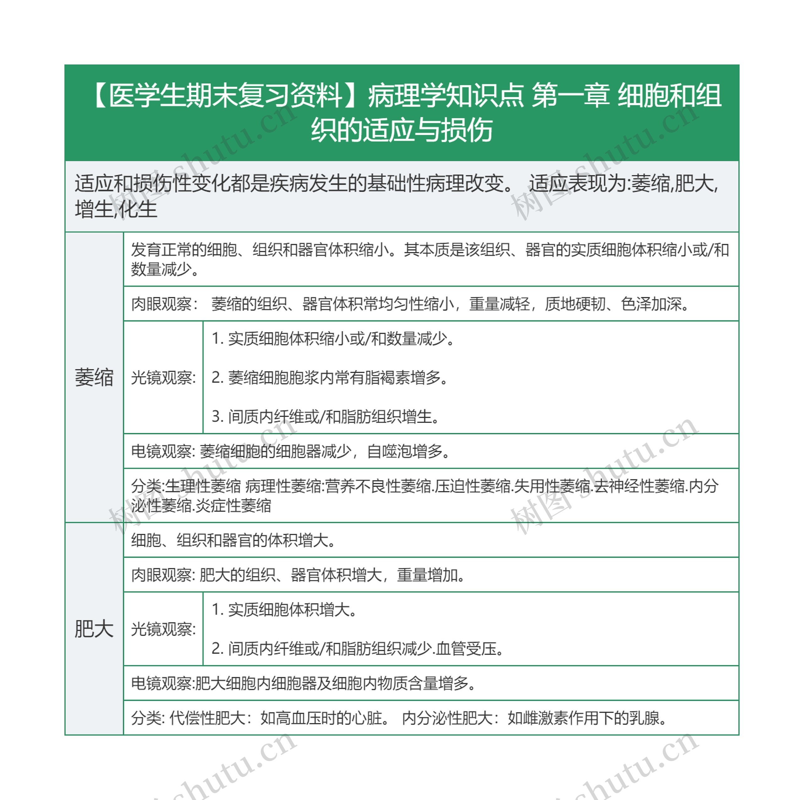 【医学生期末复习资料】病理学知识点 第一章 细胞和组织的适应与损伤思维导图