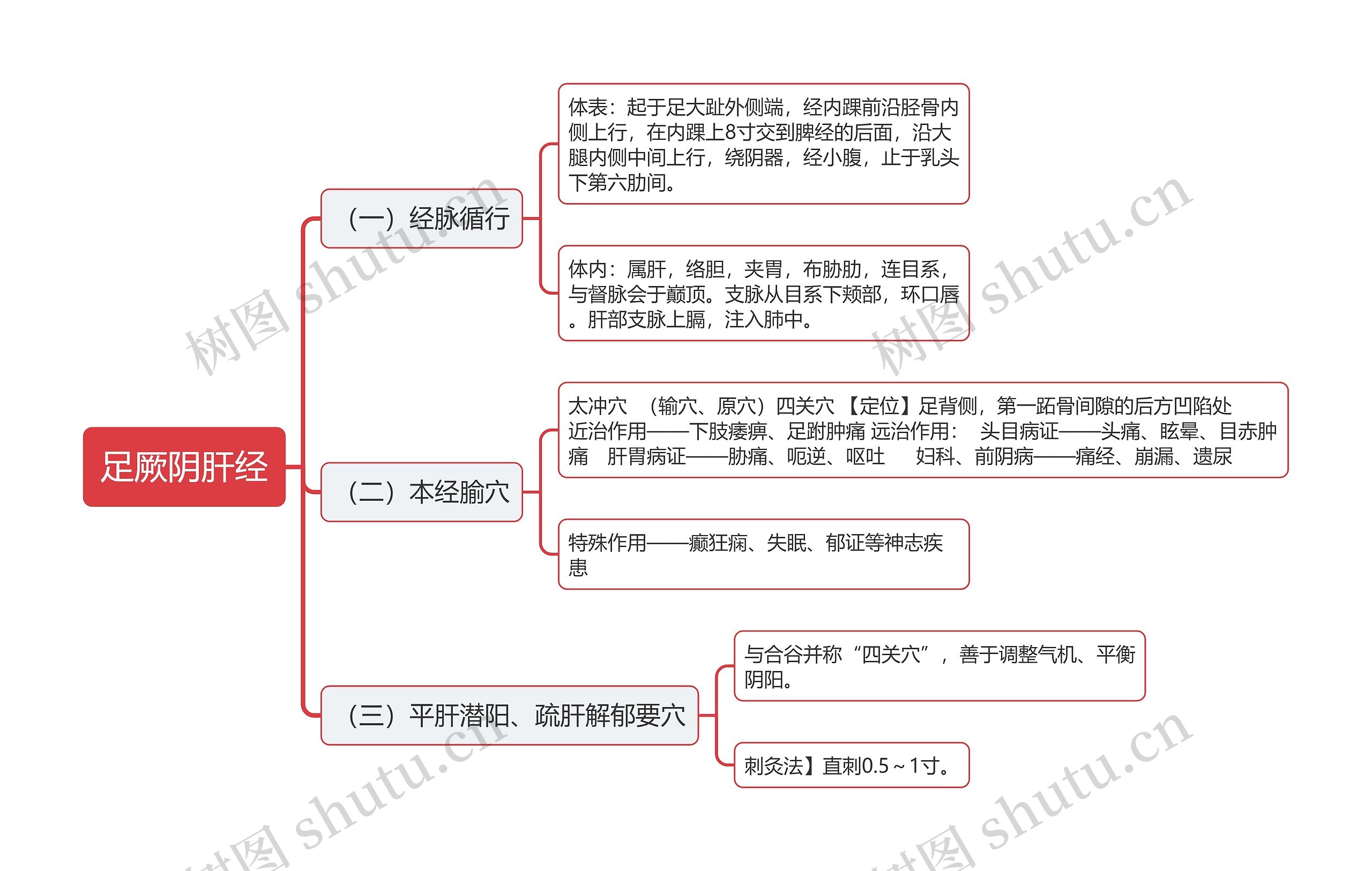 足厥阴肝经思维导图