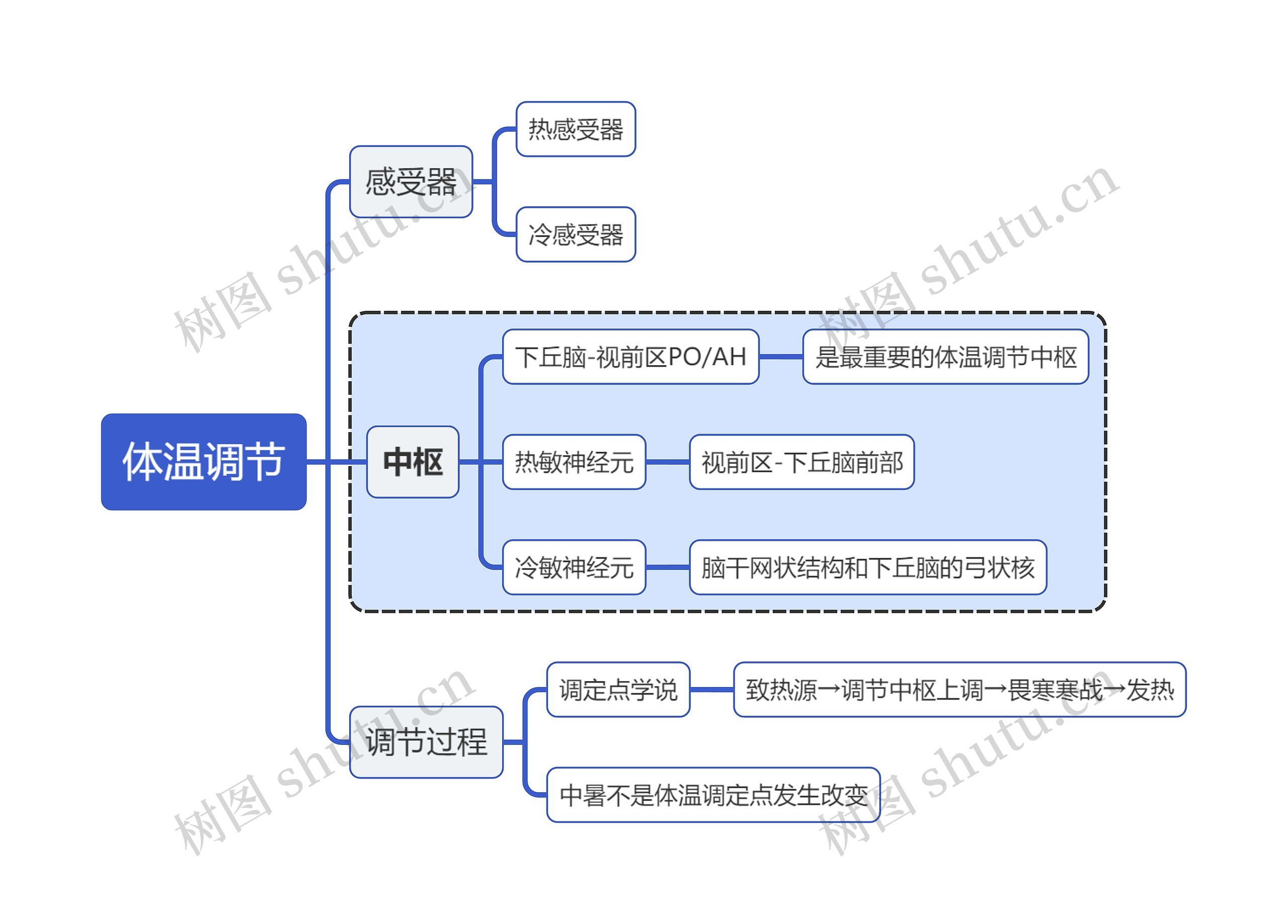 医学知识体温调节思维导图