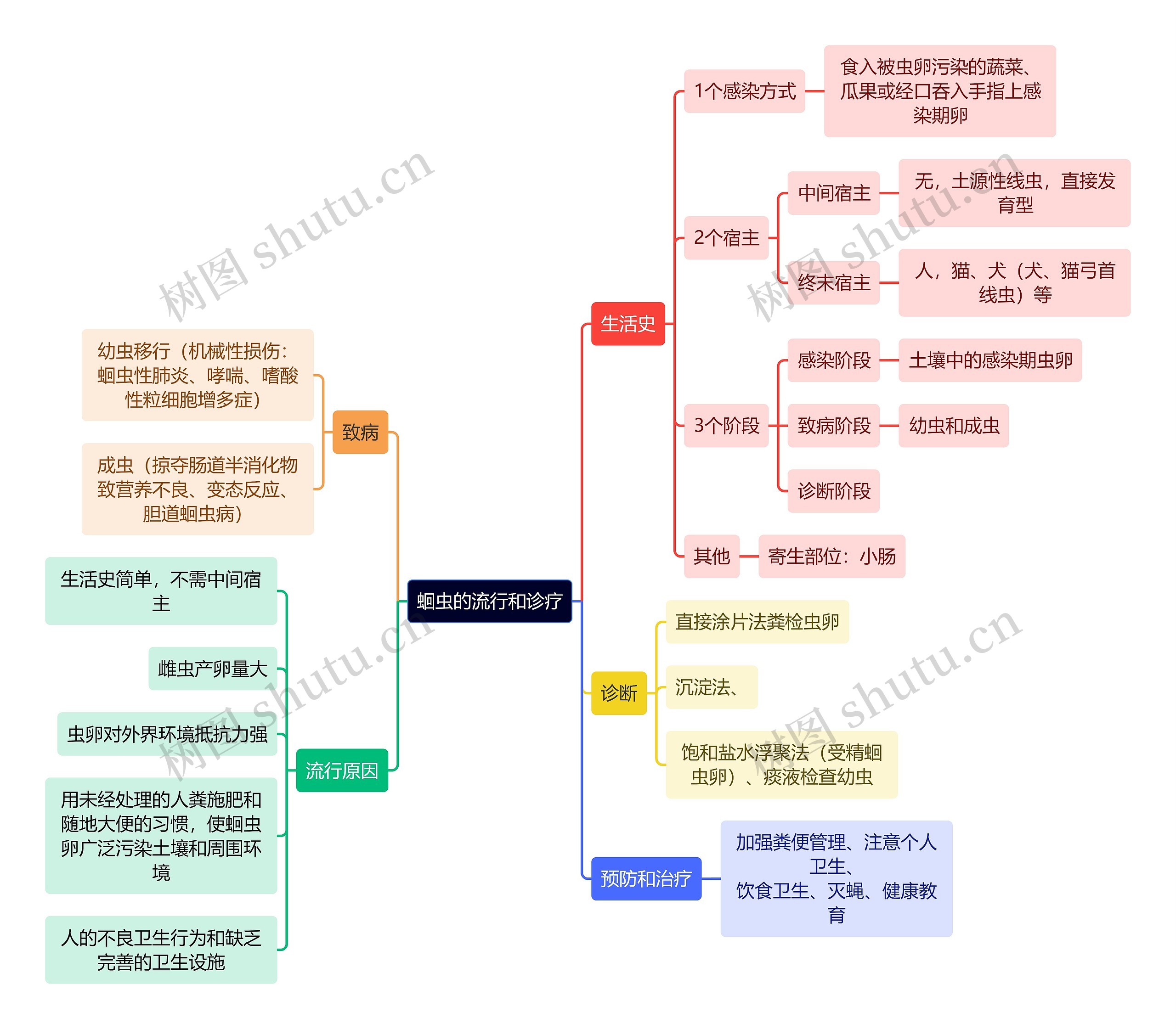 医学知识蛔虫的流行和诊疗思维导图