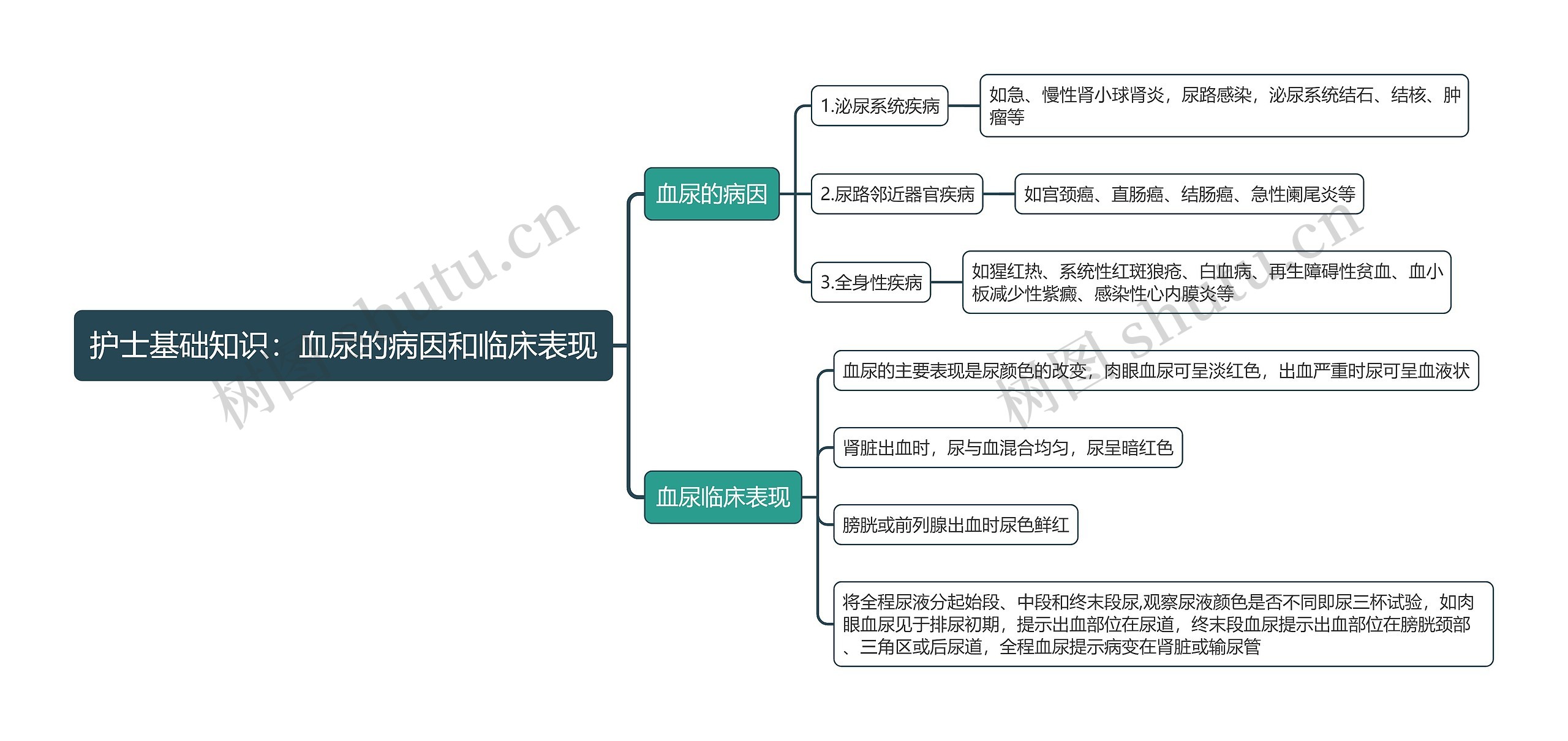 护士基础知识：血尿的病因和临床表现思维导图