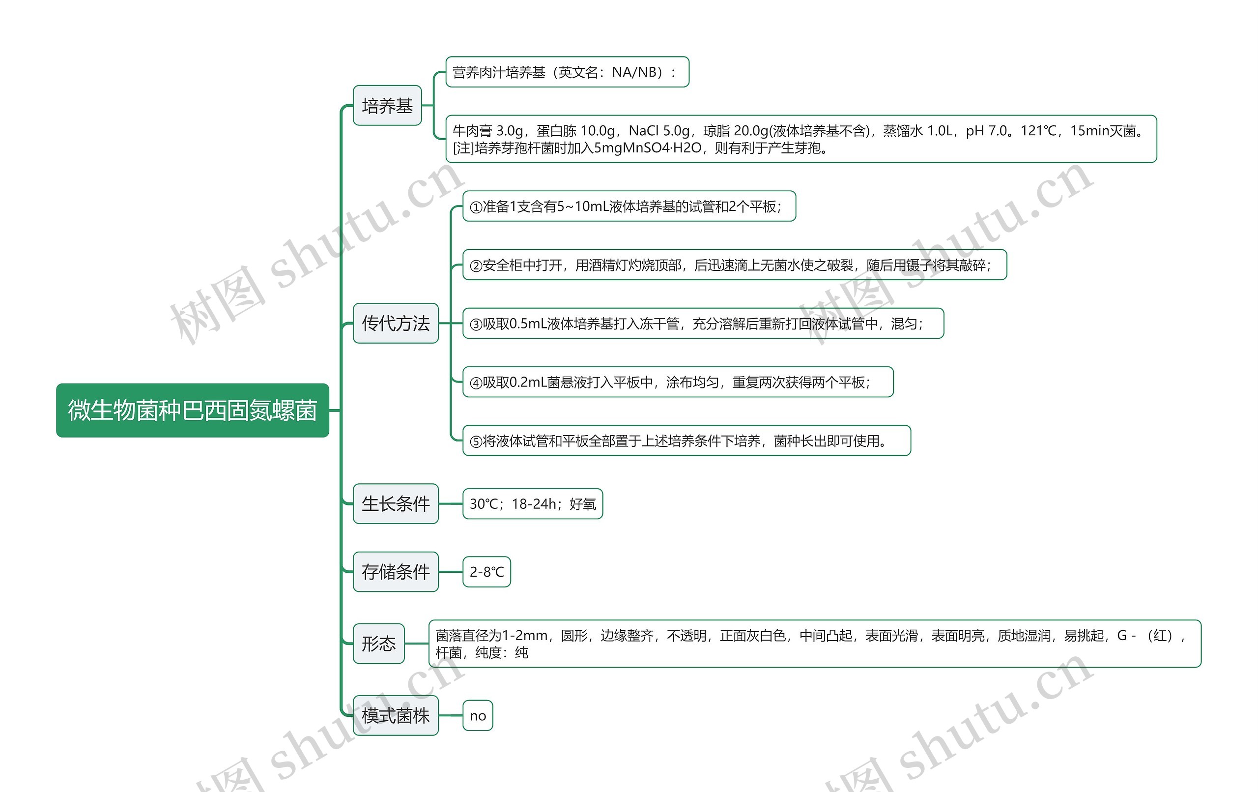 微生物菌种巴西固氮螺菌思维导图
