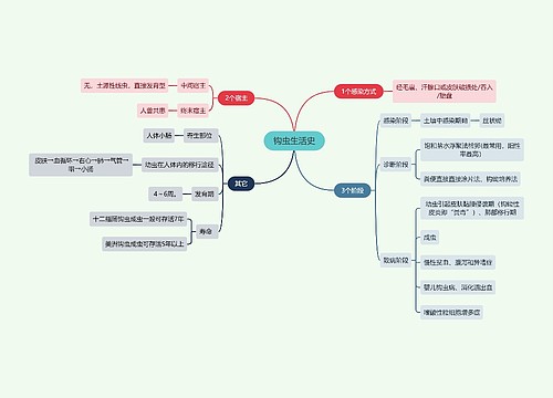 医学知识钩虫生活史思维导图