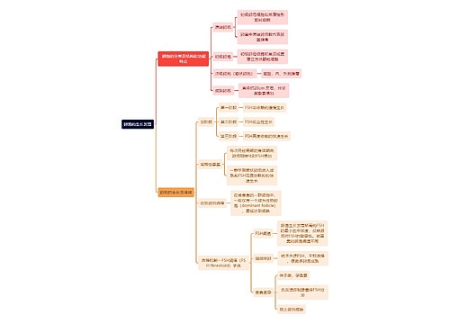 医学知识卵泡的生长发育思维导图