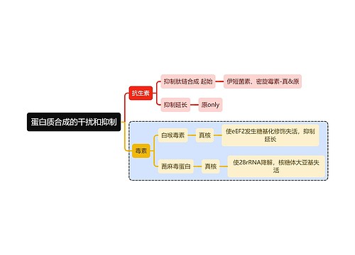 医学知识蛋白质合成的干扰和抑制思维导图