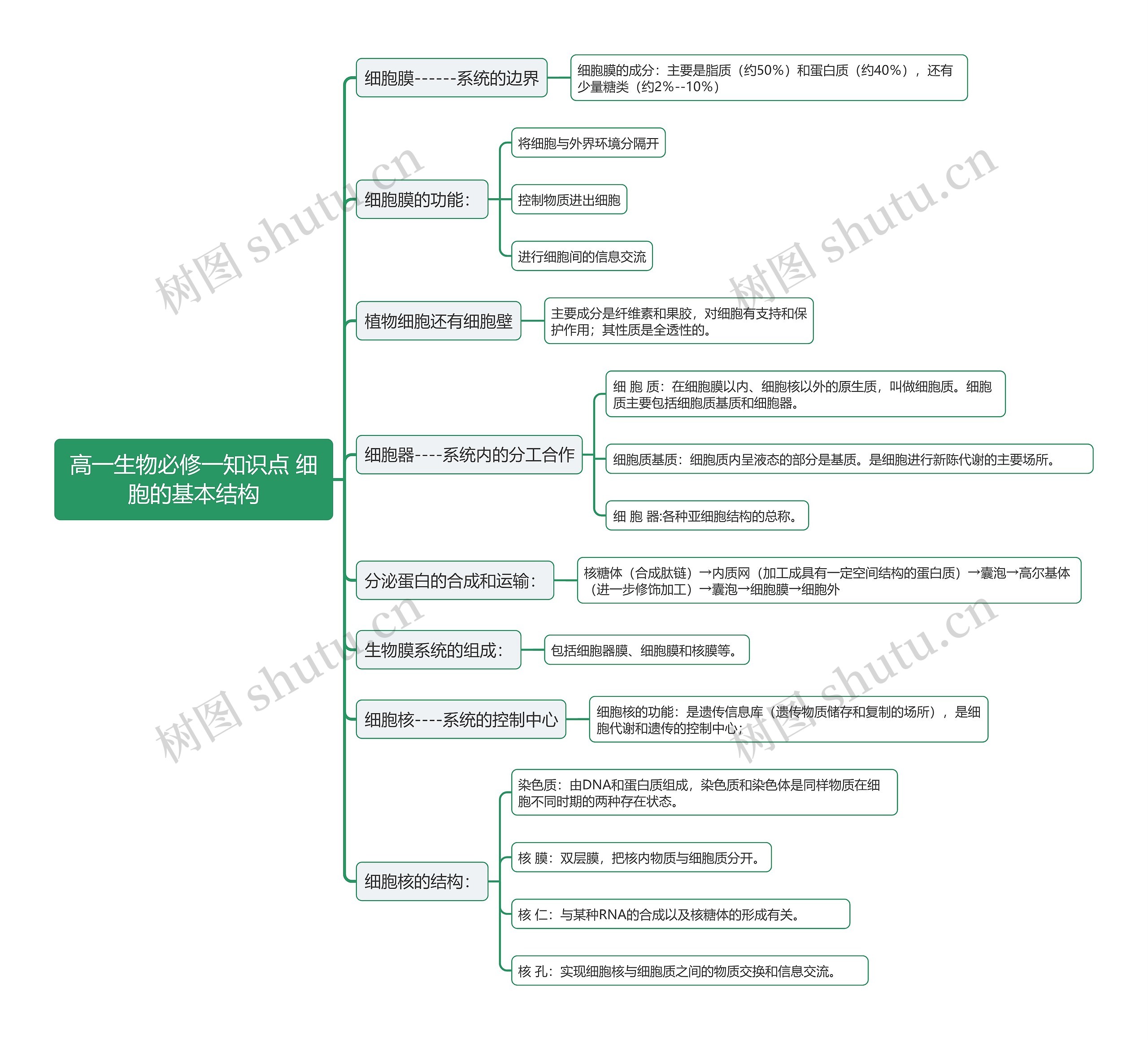 高一生物必修一知识点 细胞的基本结构思维导图