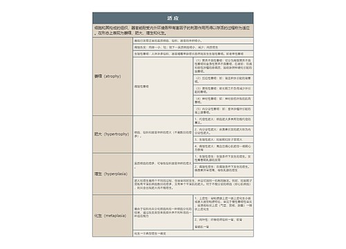 适 应的思维导图