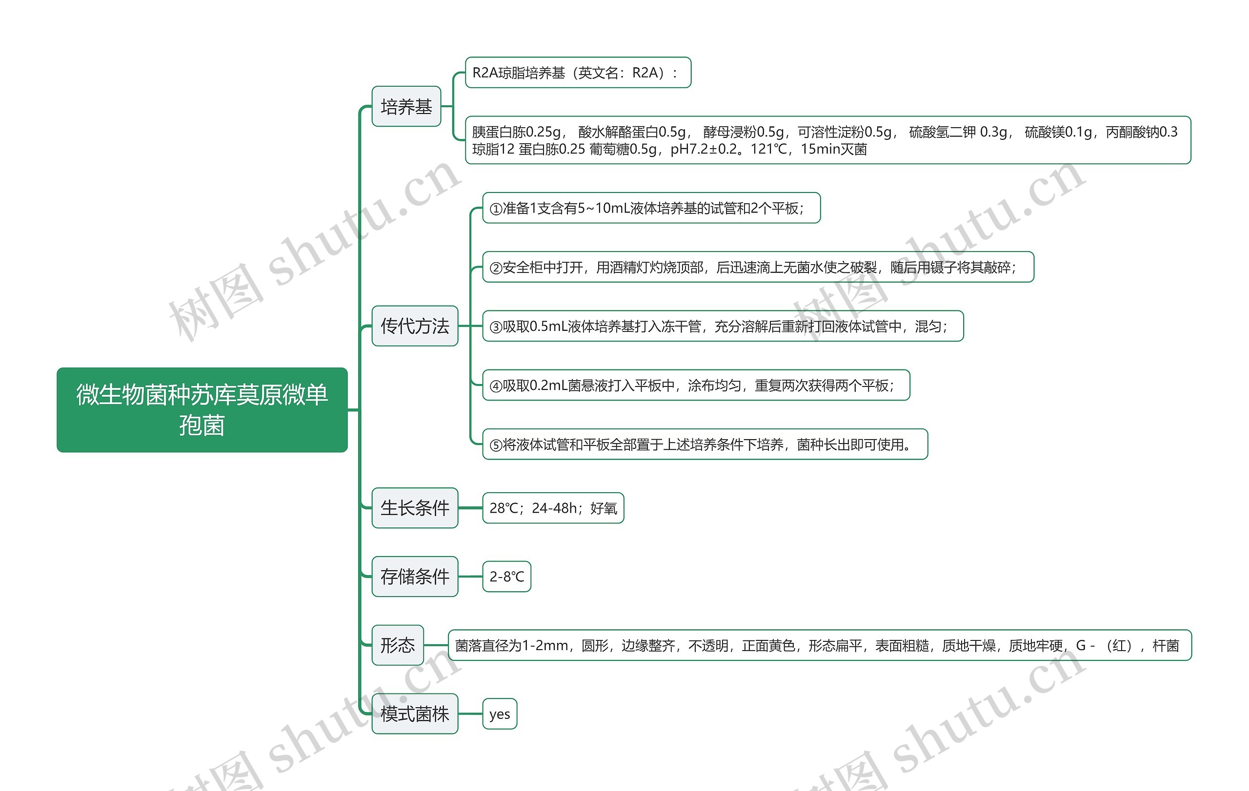 微生物菌种苏库莫原微单孢菌思维导图