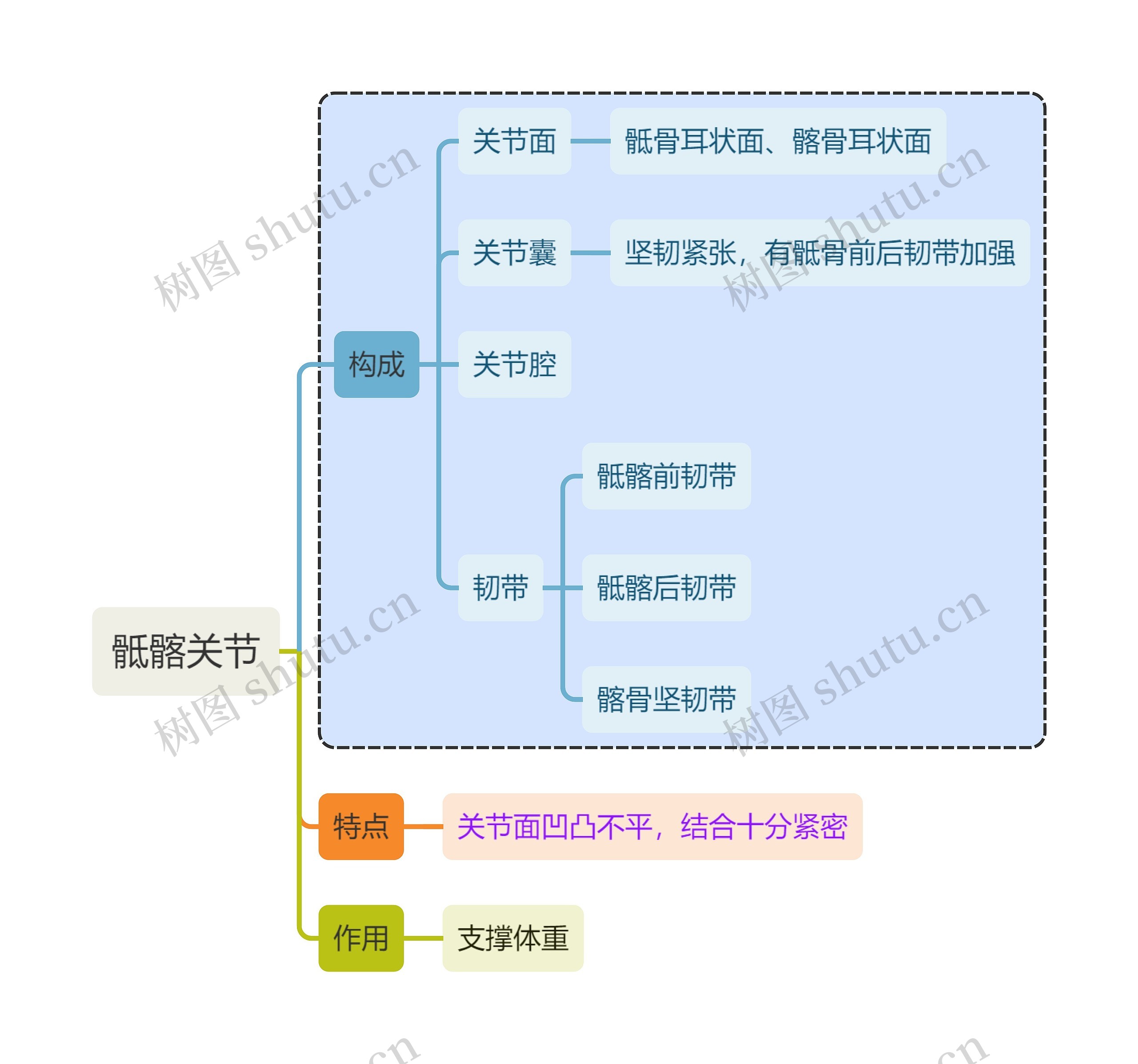 骨学知识骶髂关节思维导图